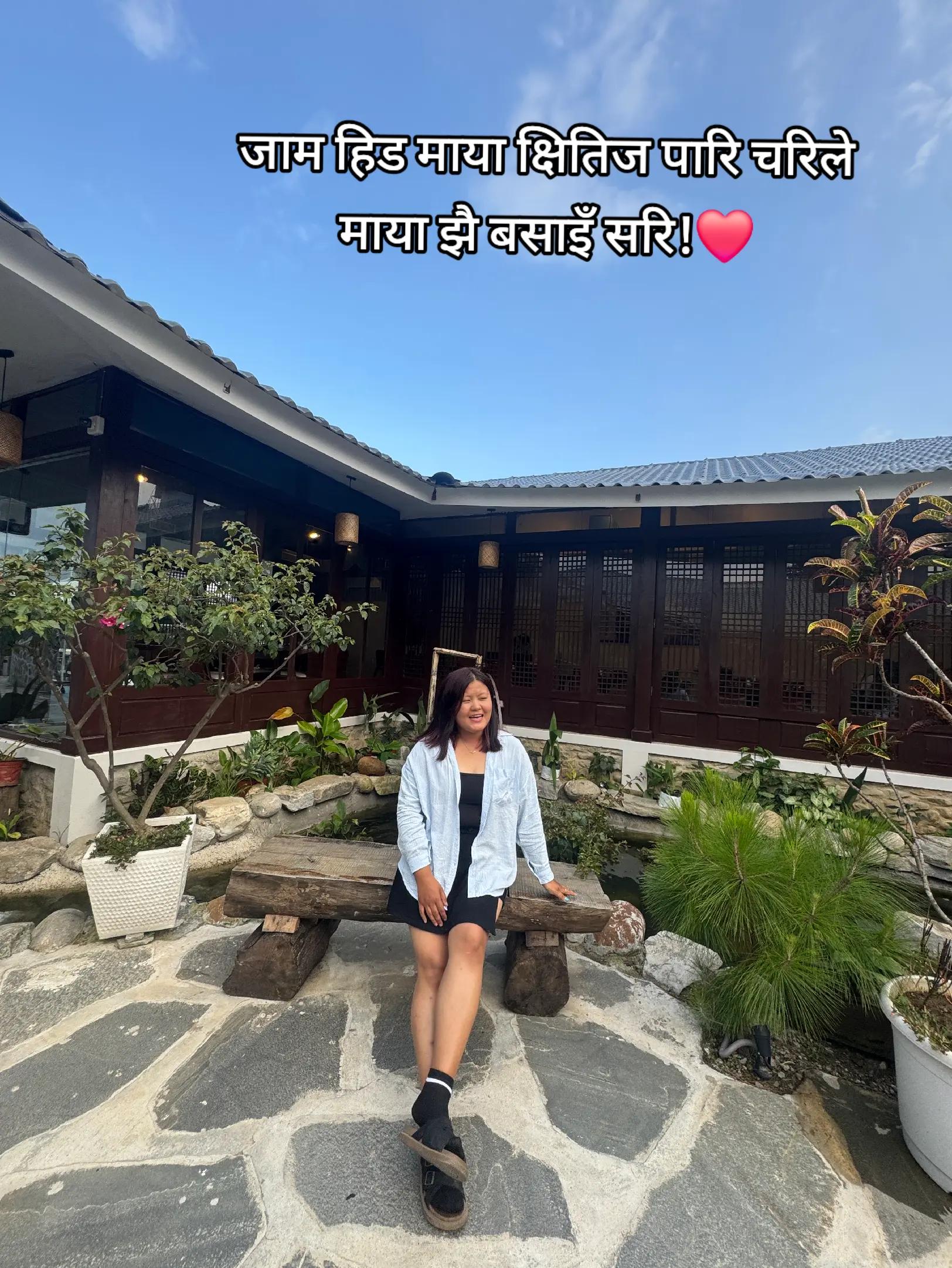 @momo🐼