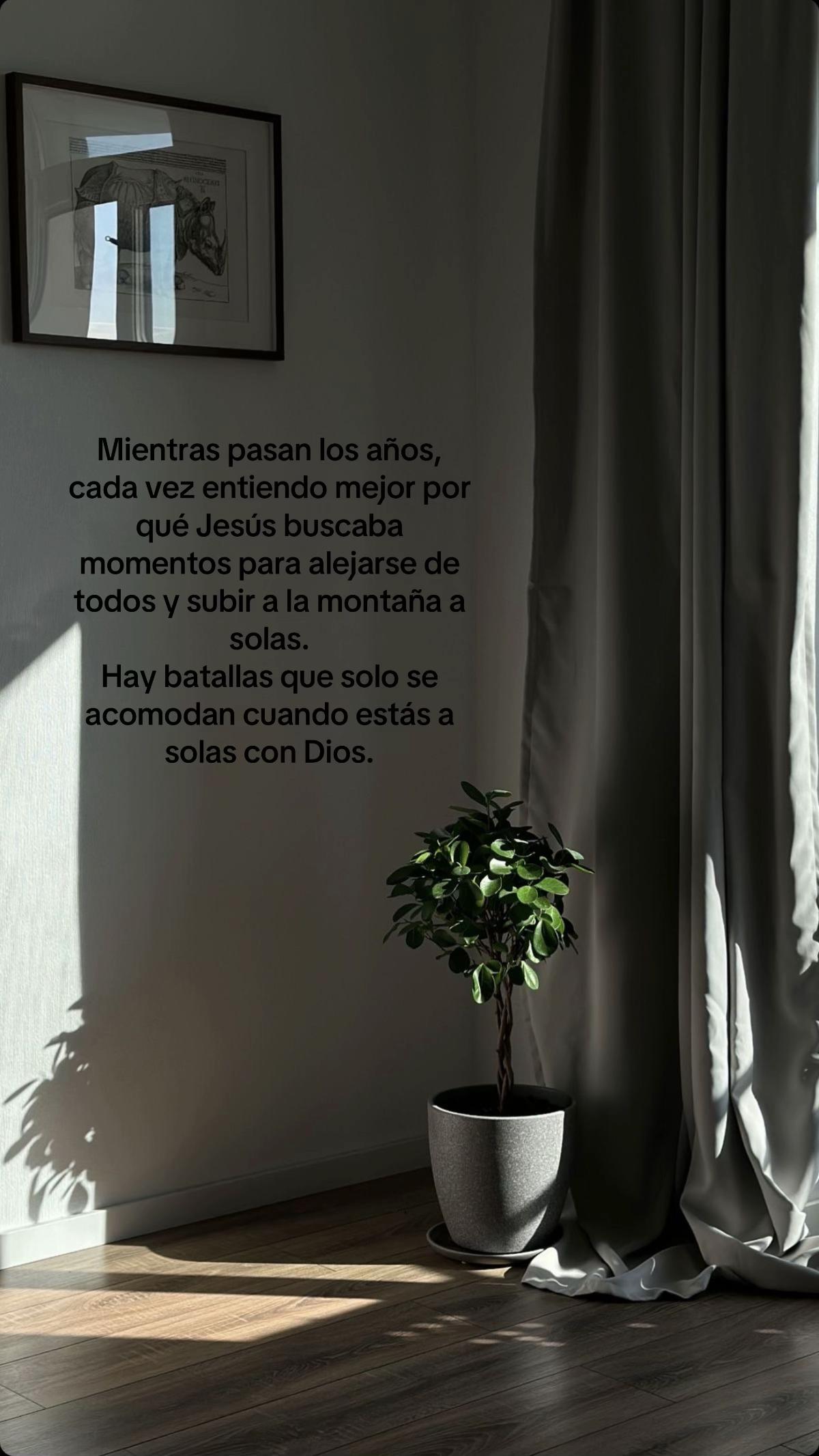 @•ELI•