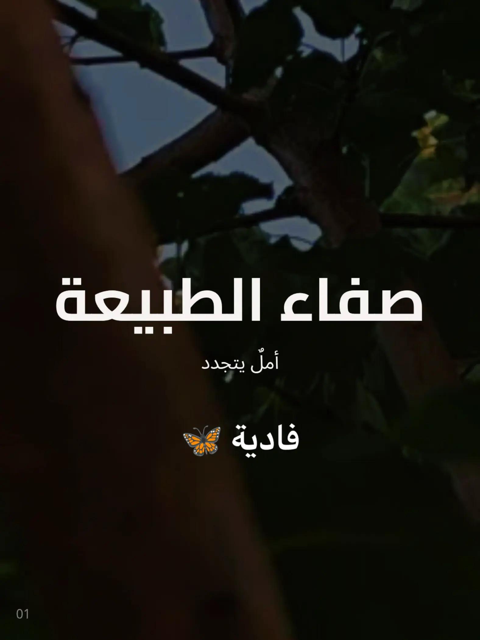 @فادية🦋