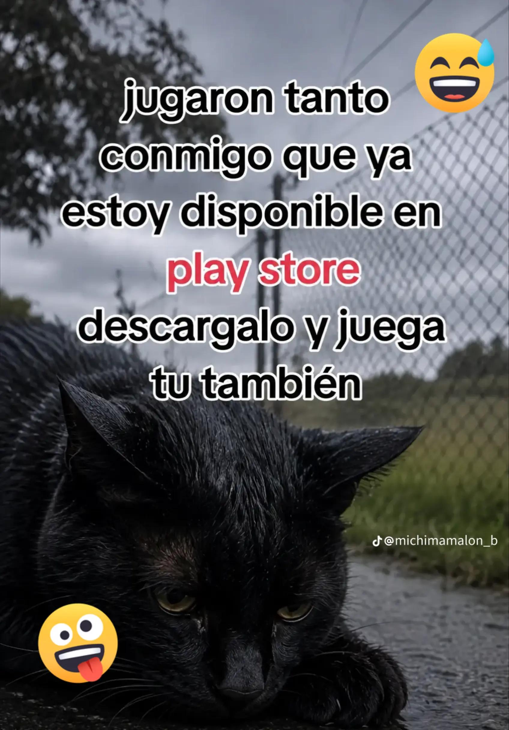 @Bombón Reyes