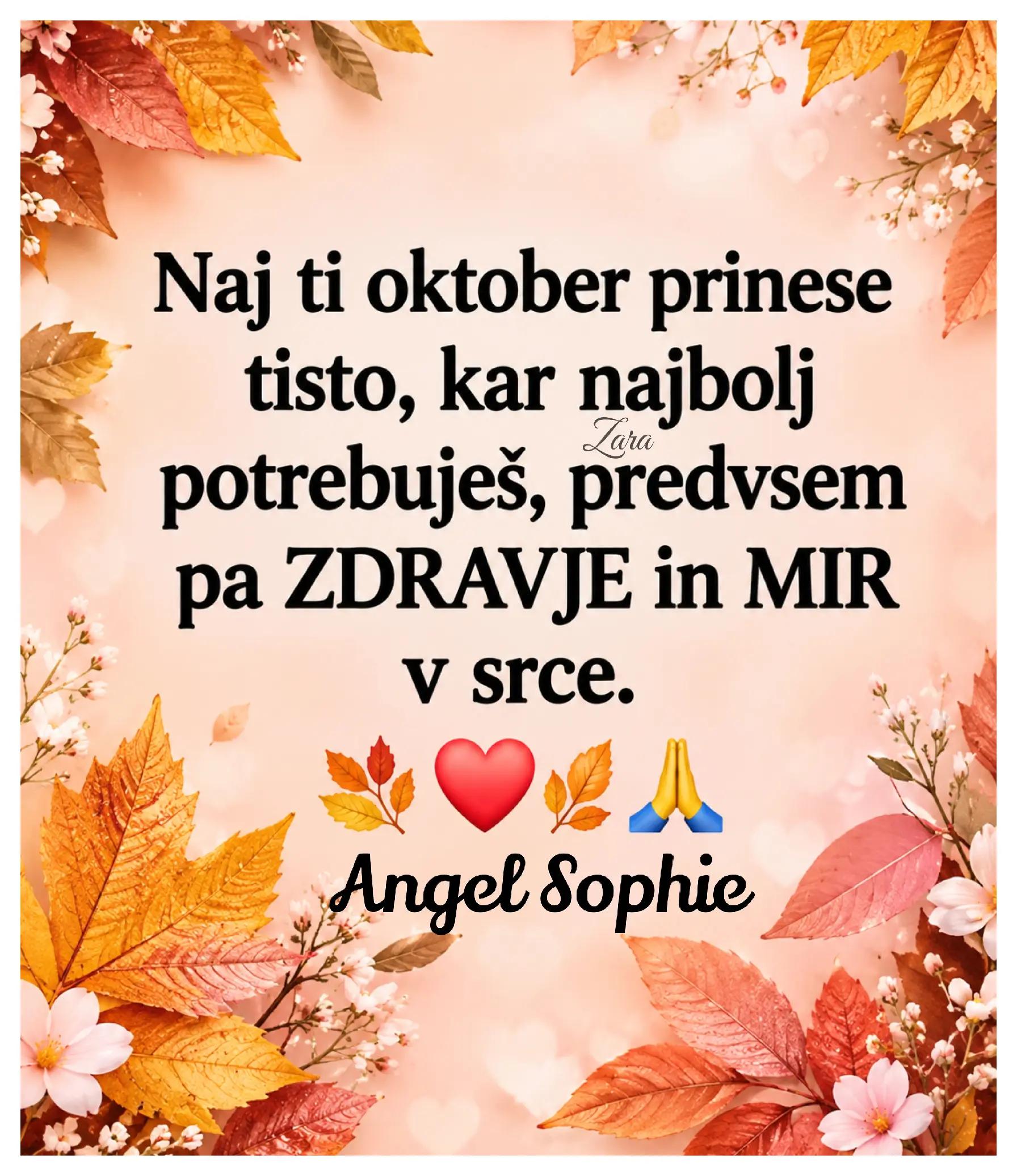 @Zara - Angel Sophie