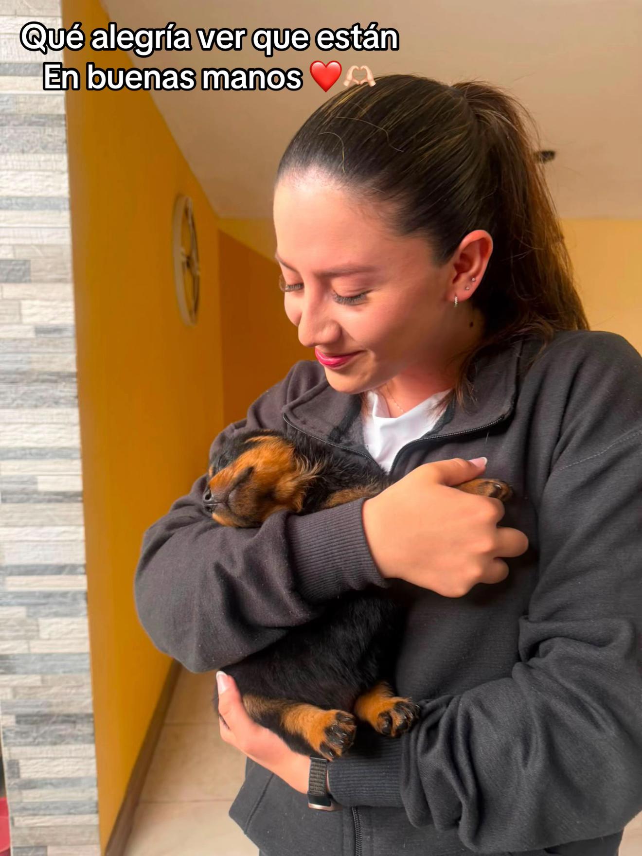 @I love DOGS