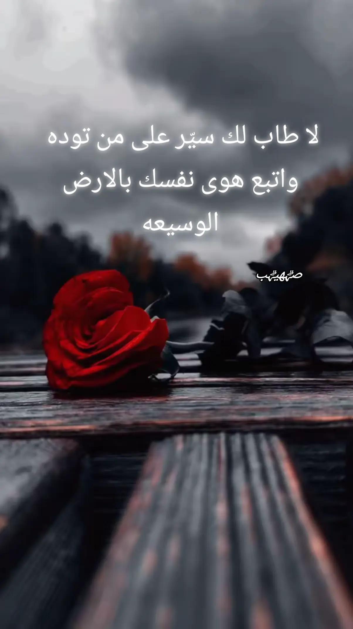 @꧂صہۗہۗهہۗيہۗہۗب الہۗمہۗصہۗري