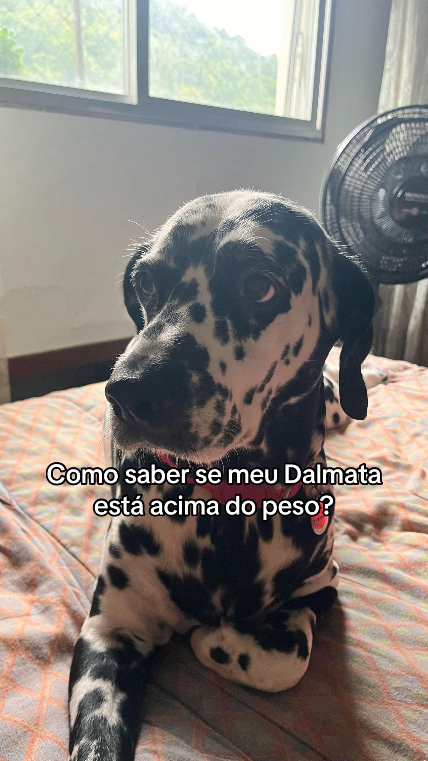 @Marg&ocirc; e Jude