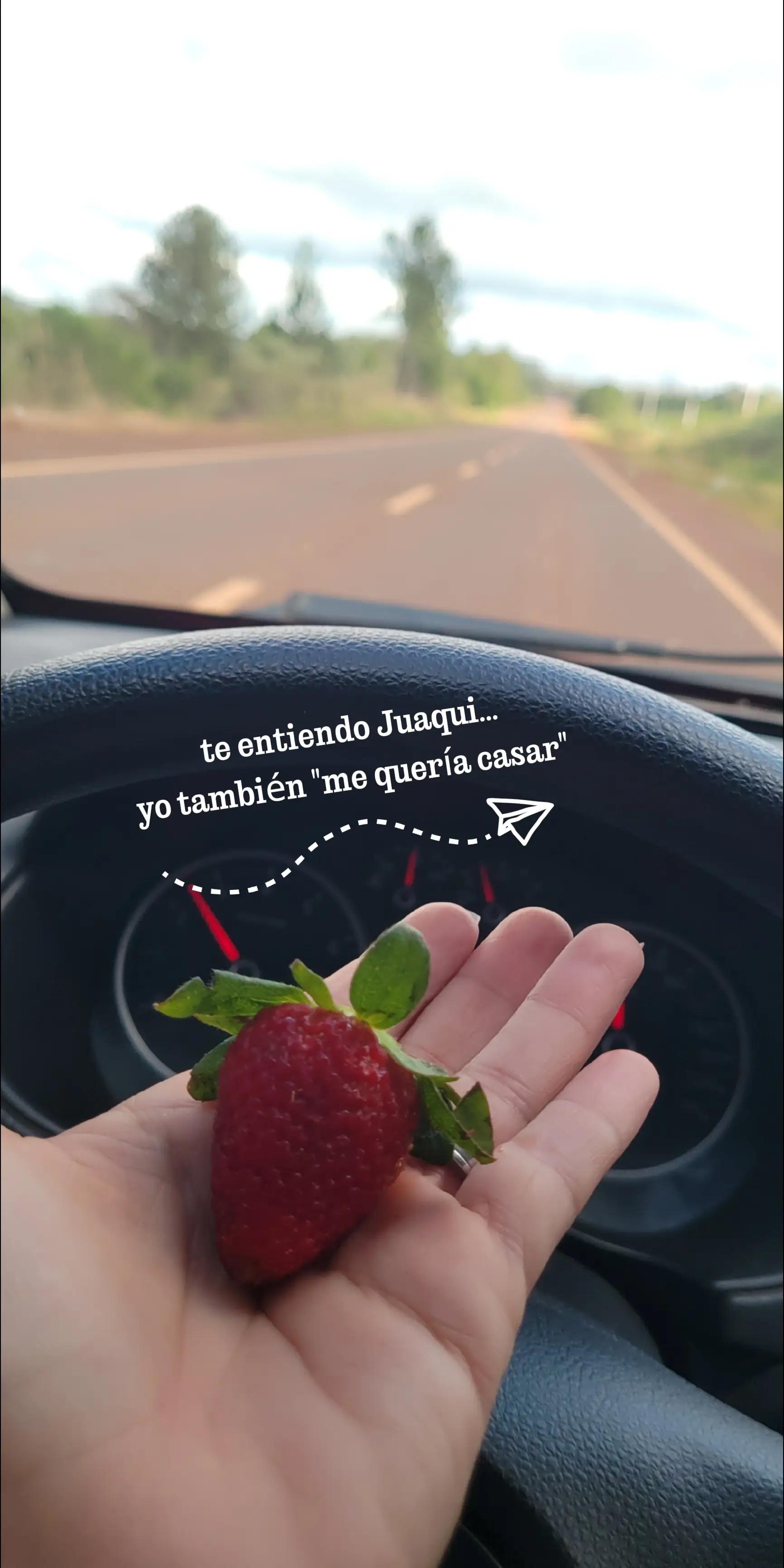 @Meu Golzinho