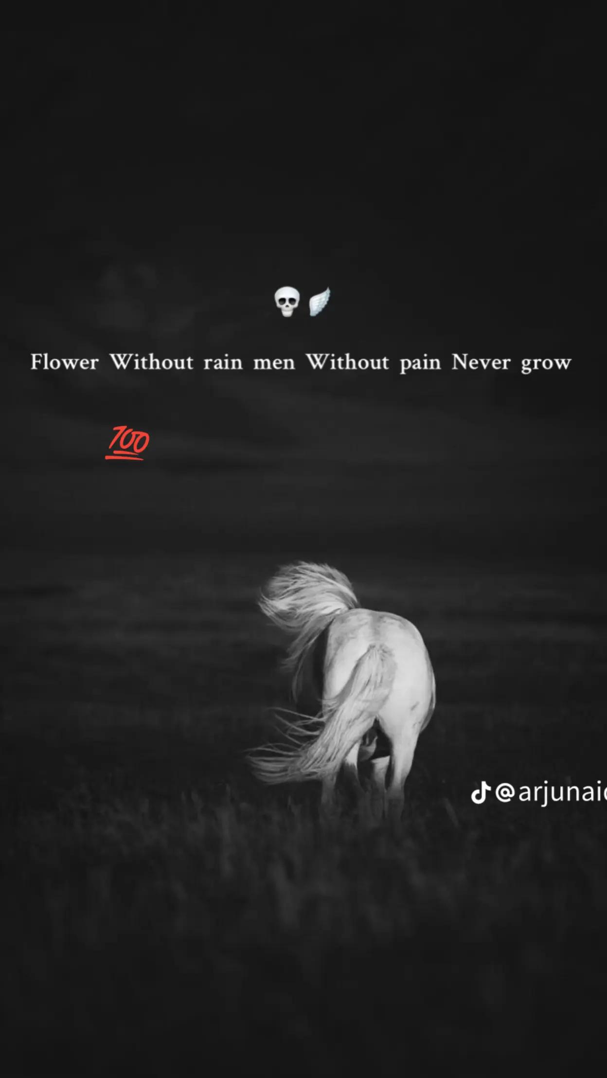 @ح م ز ہ ☠️🦁