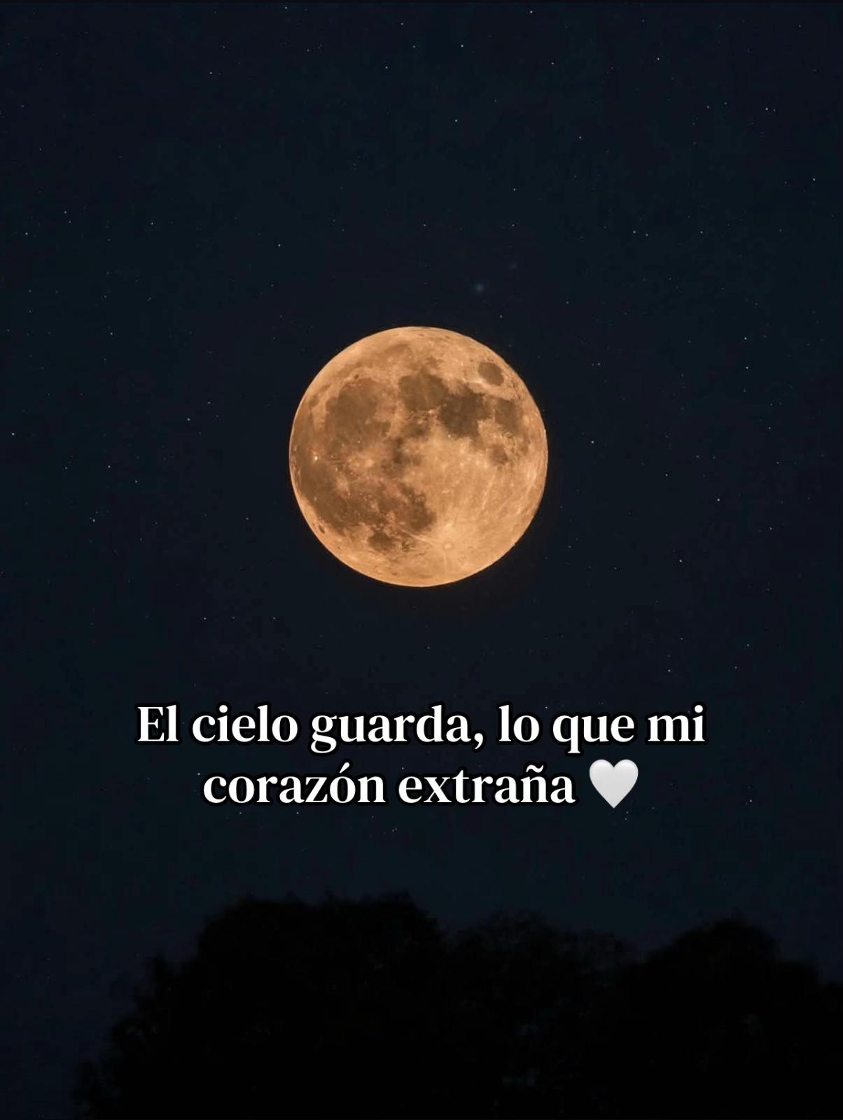 @️🌸Jay🌸