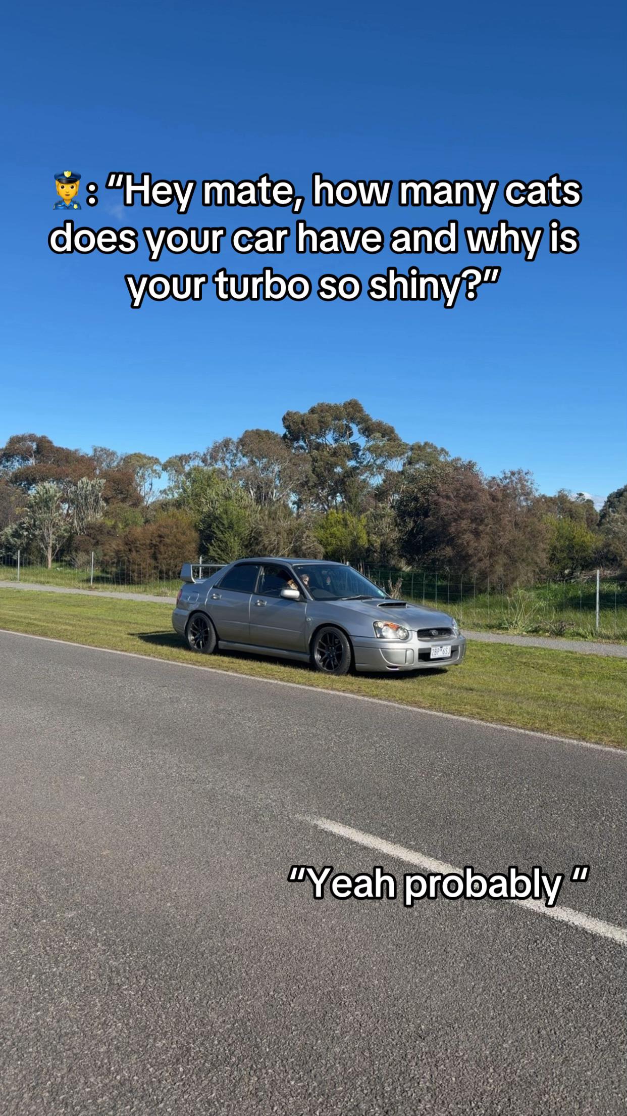 @05_rexy