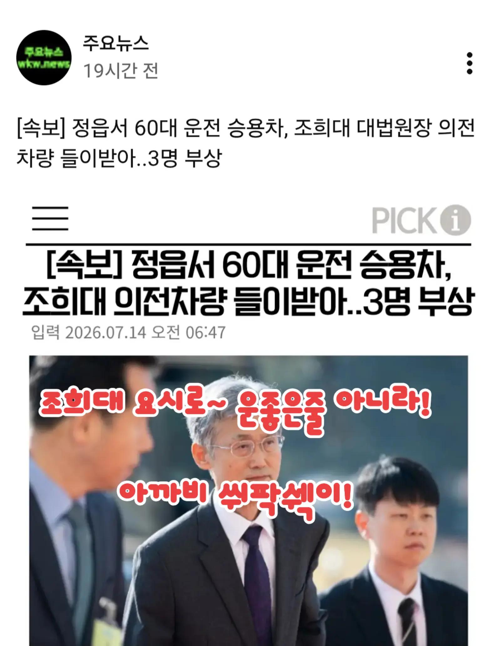@🌺시라소니[본]🌺