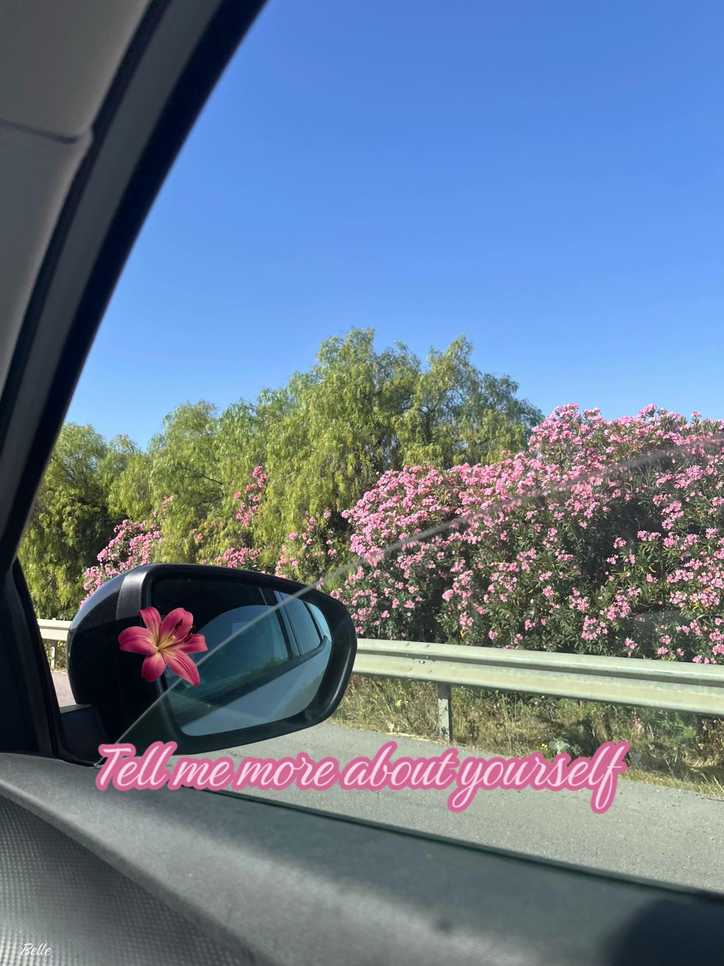 @₊˚𝐵𝑒𝑙𝑙𝑒ꨄ˚₊
