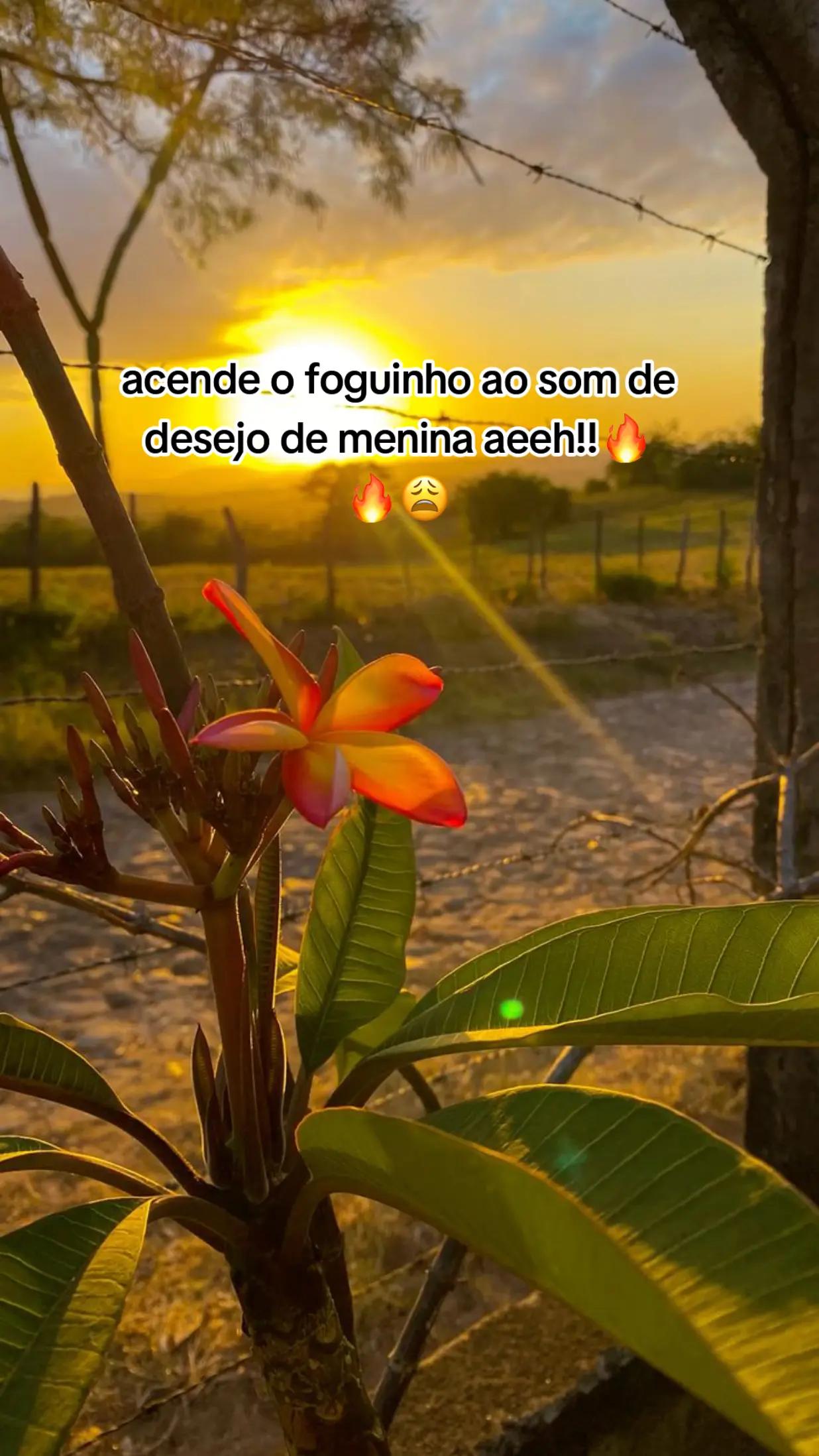 @yppp