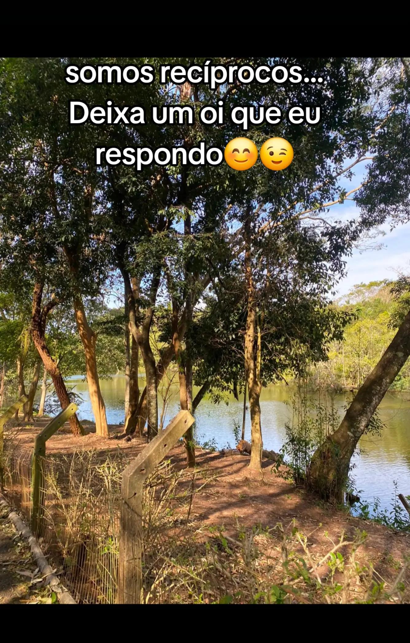 @Luciana Assis