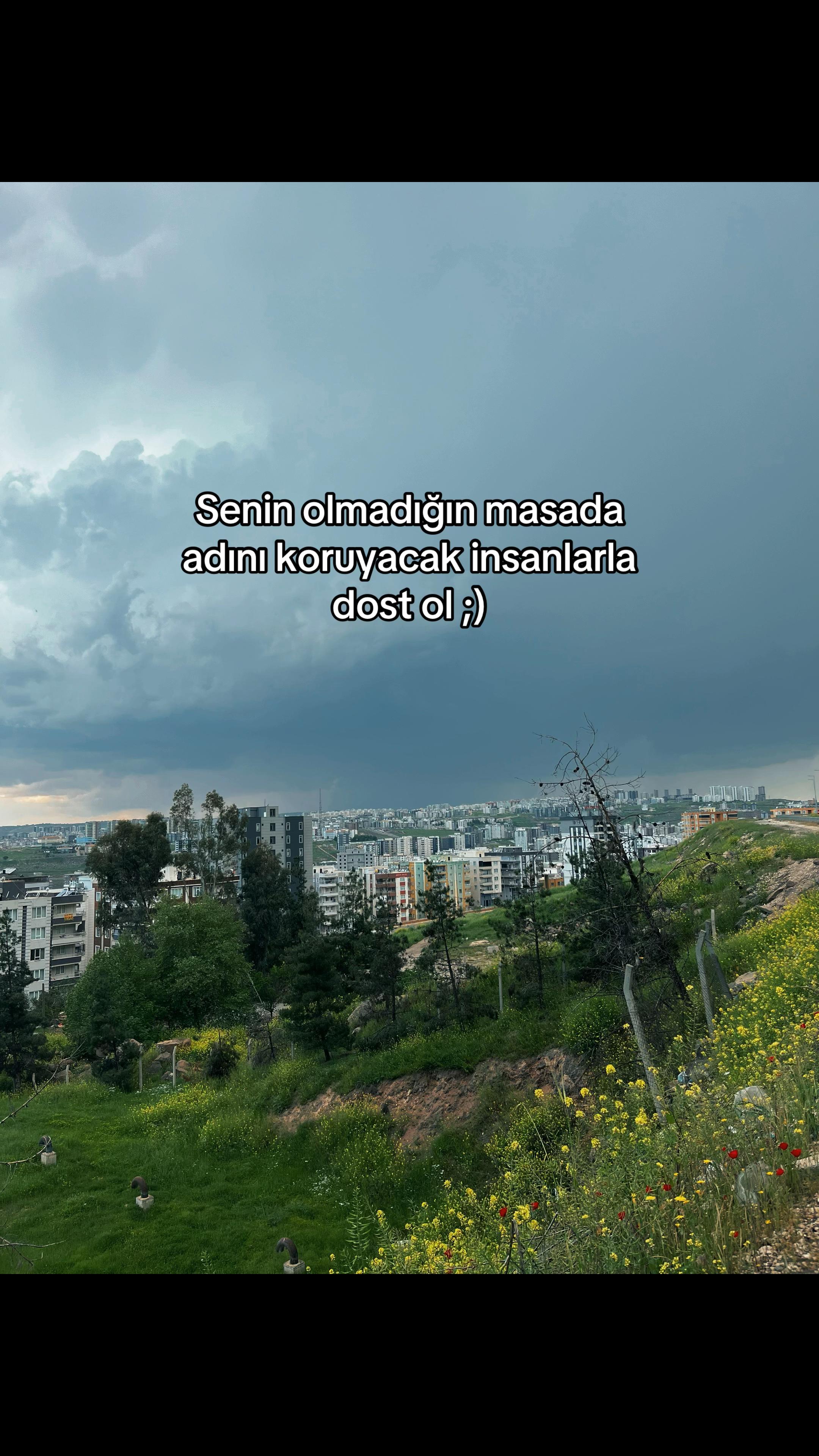 @helin talip