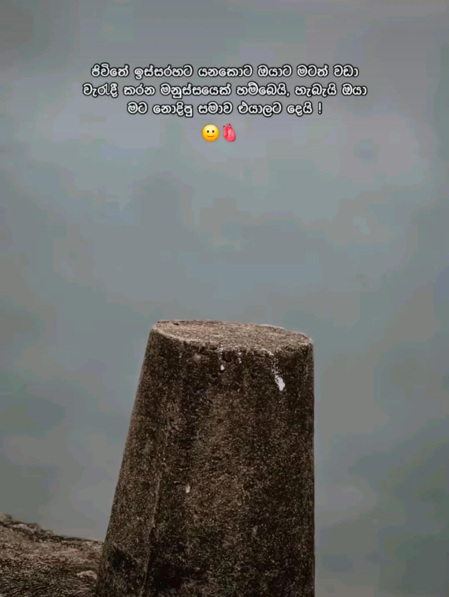 @𝙆𝙚𝙫𝙞𝙣𝙯𝙮 🪼