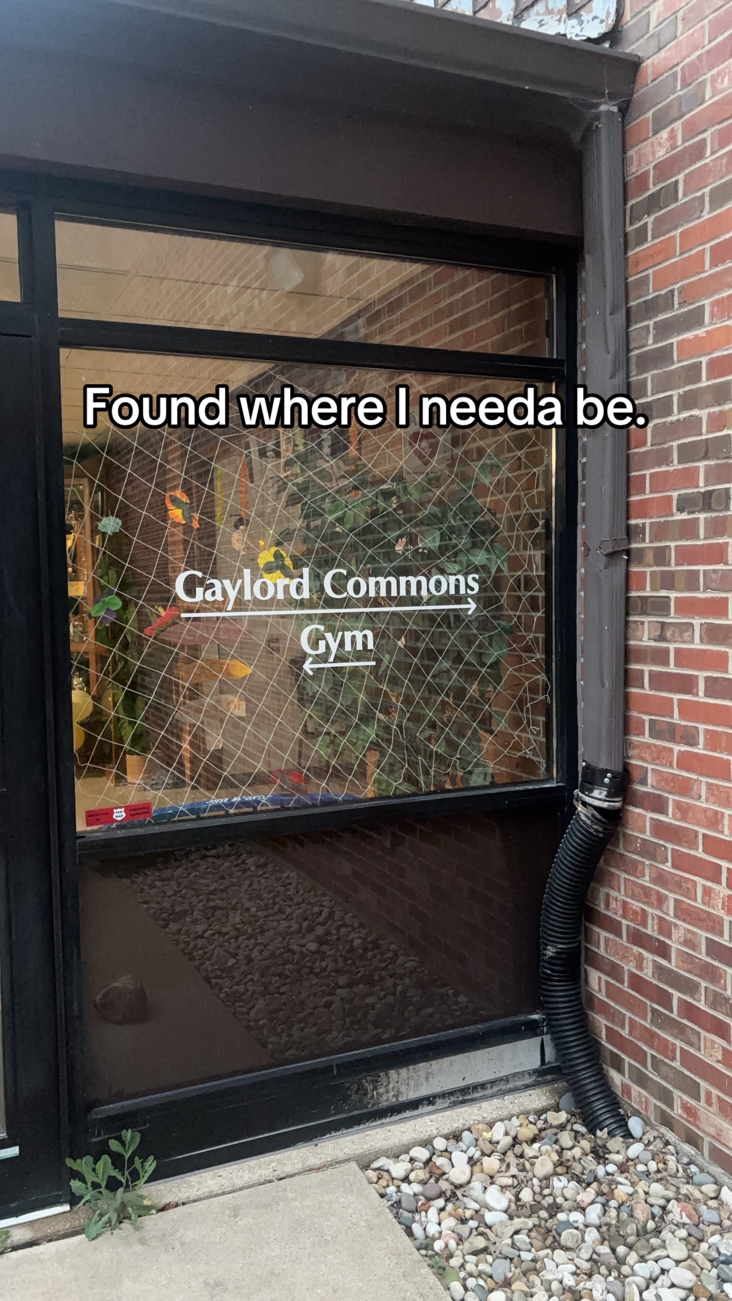 @romednd