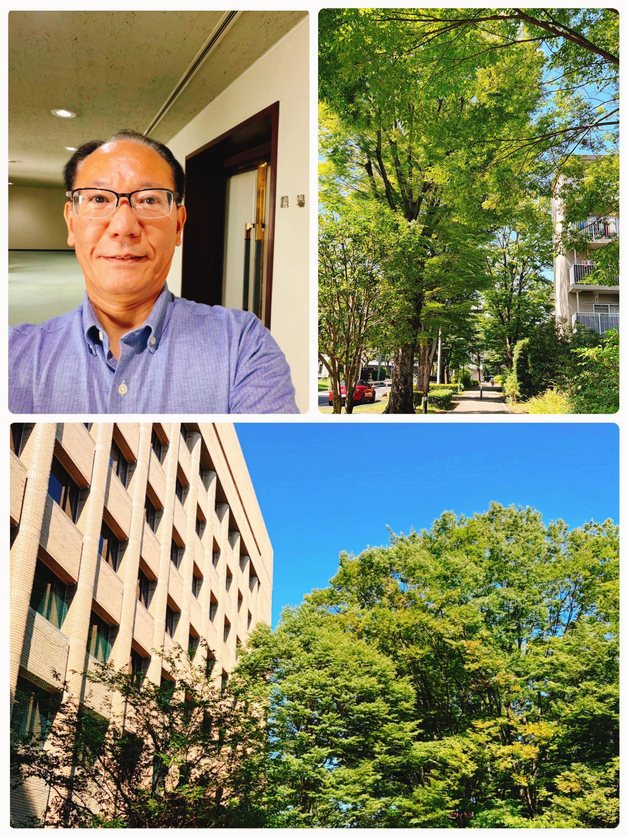 @橋本こうじ/小平市議会議員
