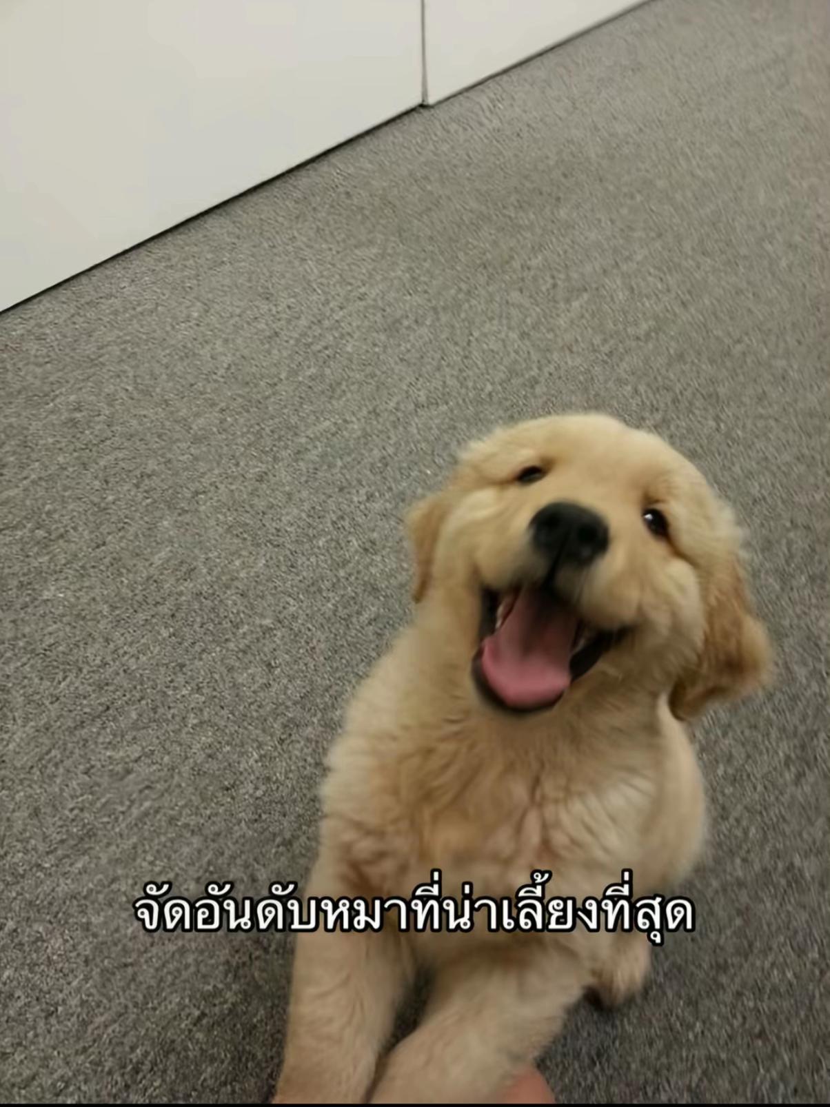 @Eye nanchani