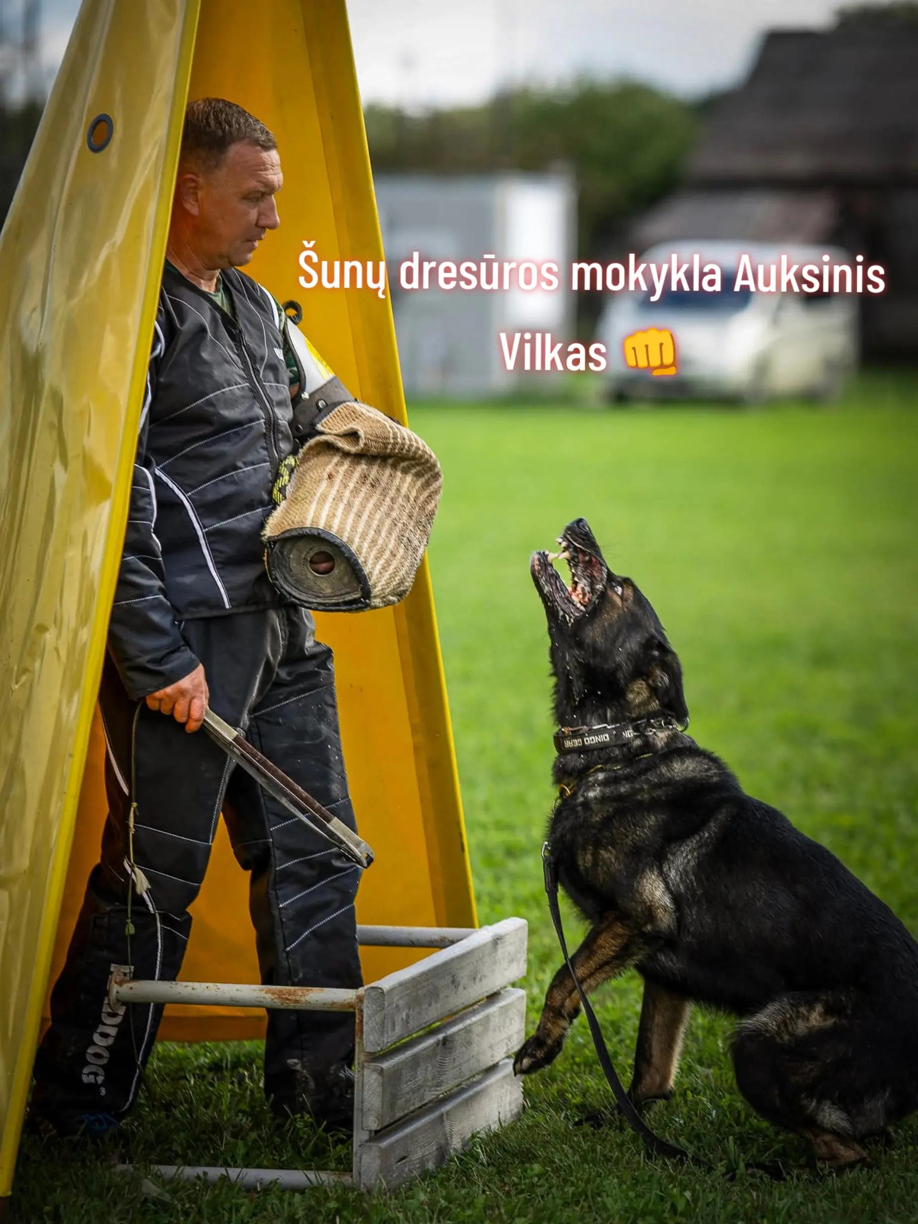 @Vidmantas Selvenis