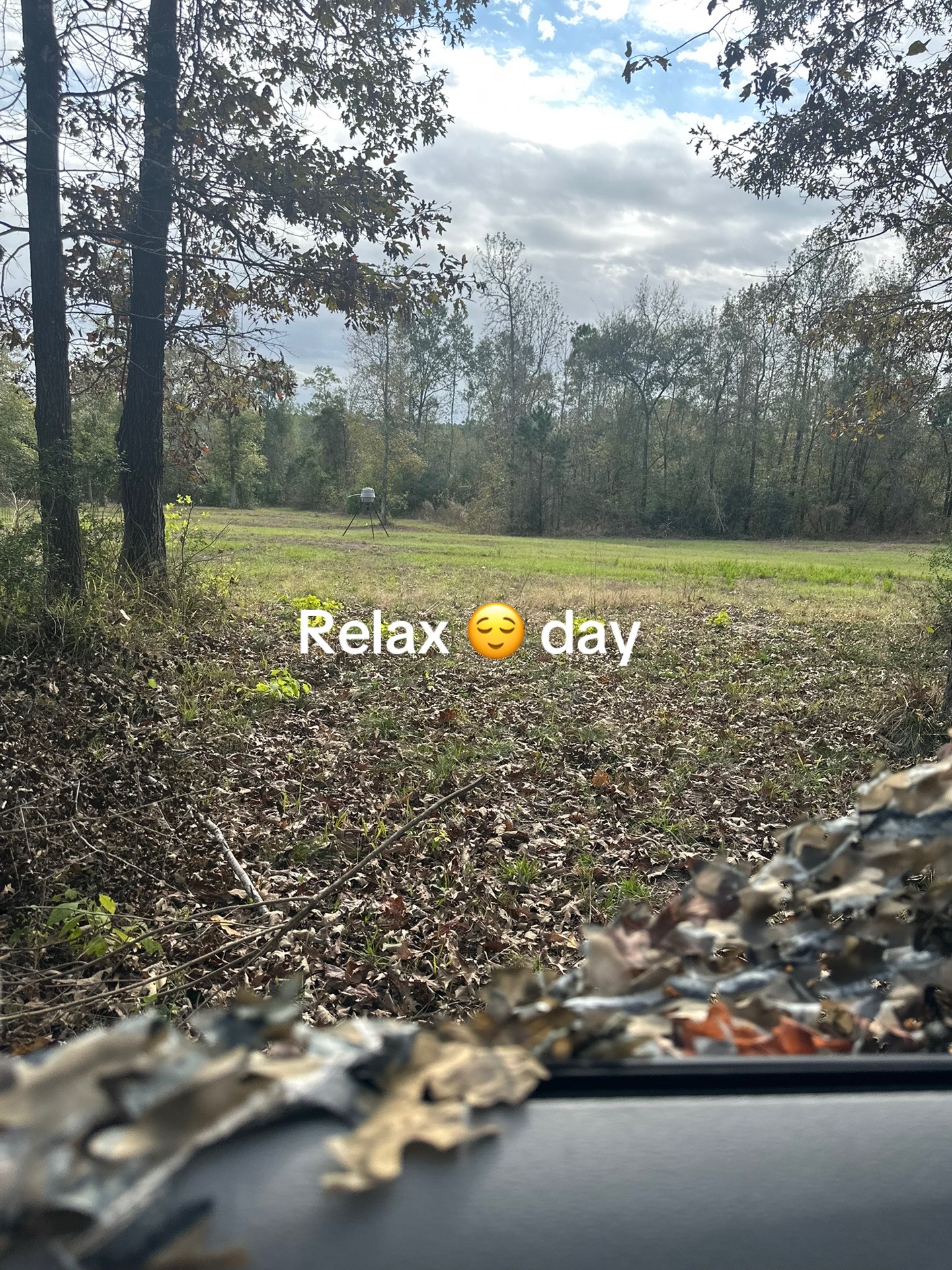 @Tik tok xxx