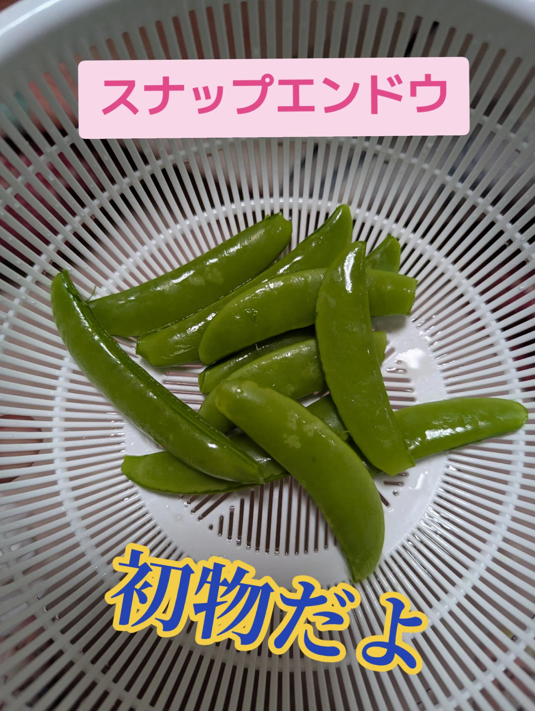 @๐ใฟใใกใใใใง๐
