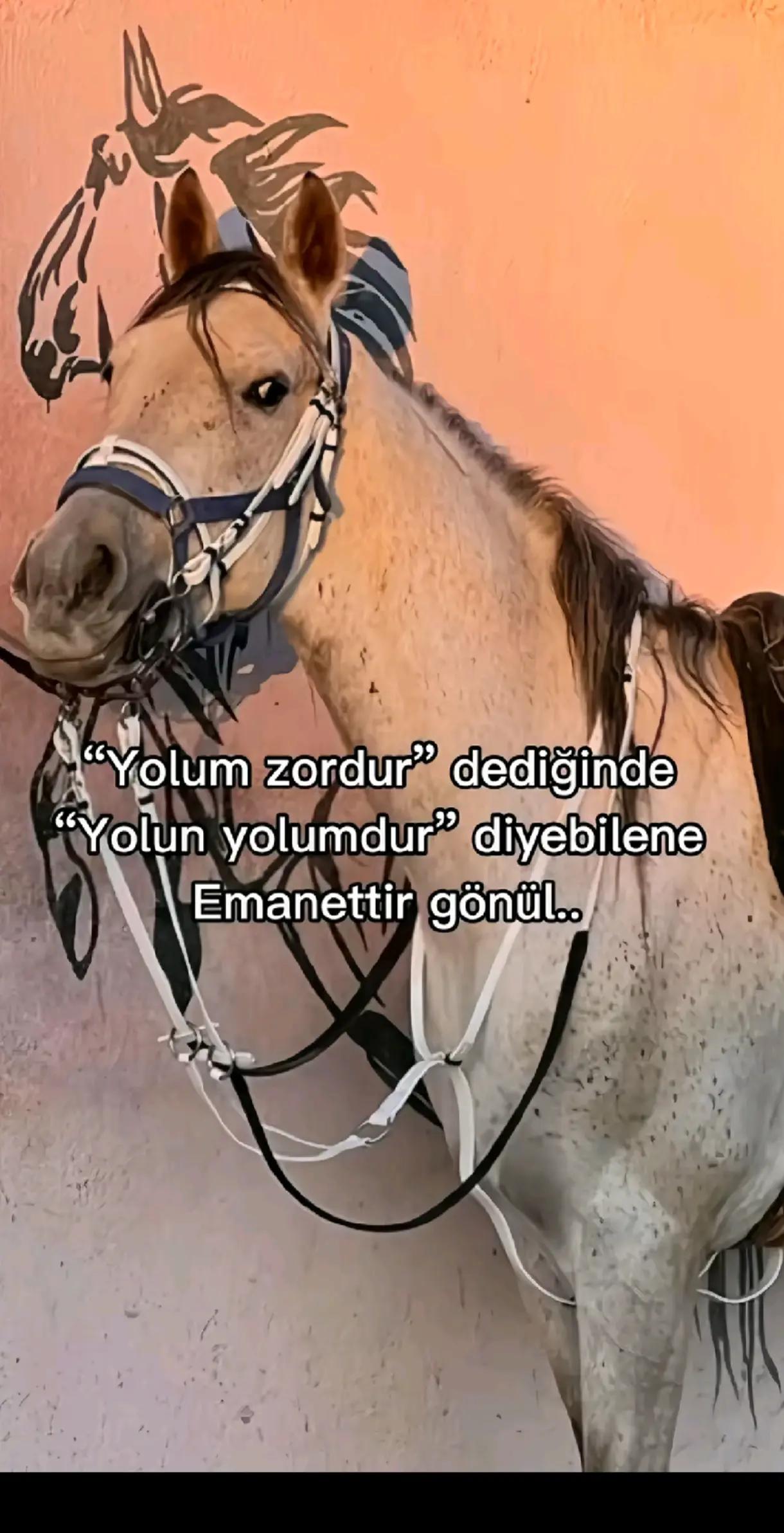 @Birgül Şen 03