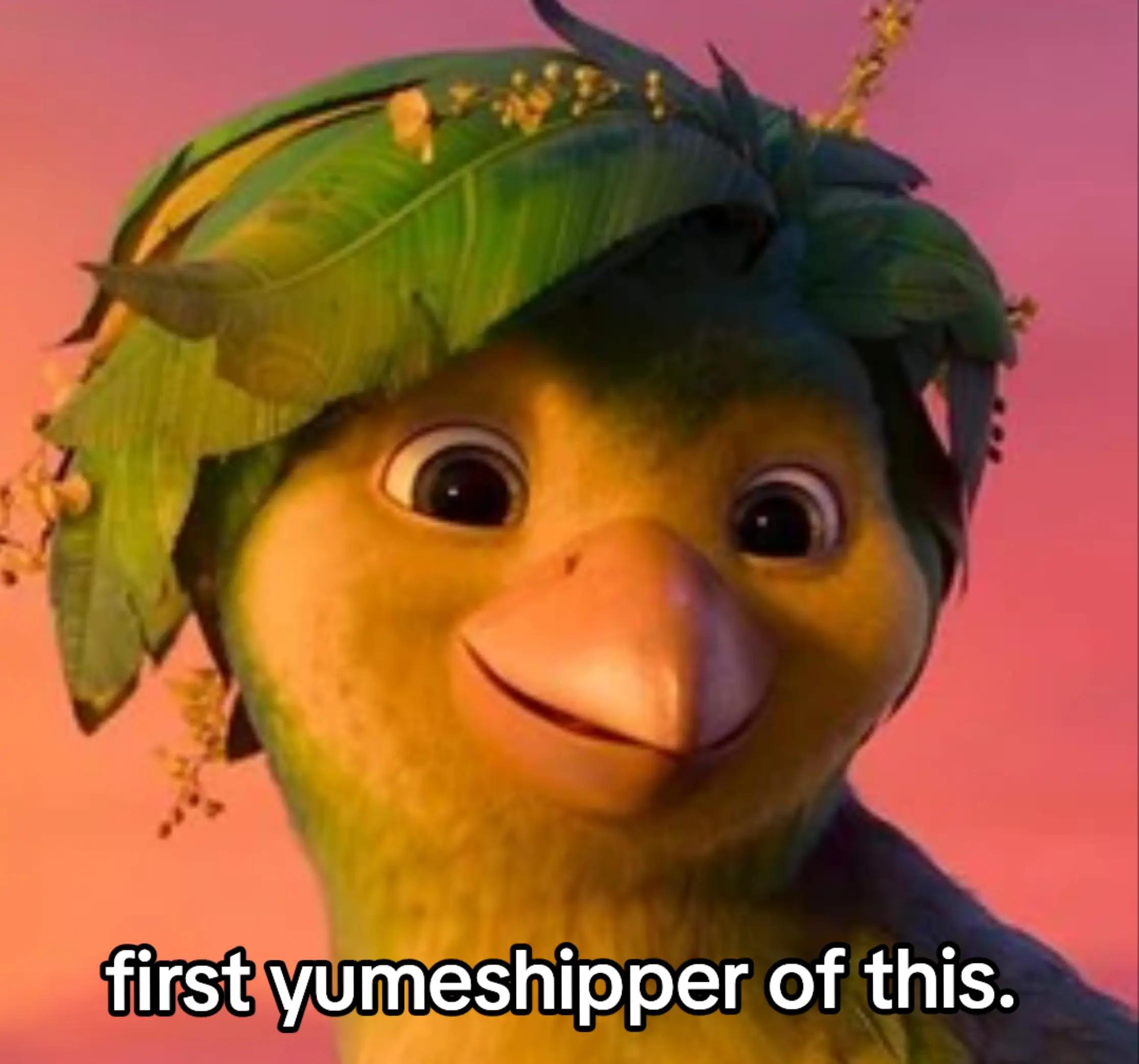 @poppy.