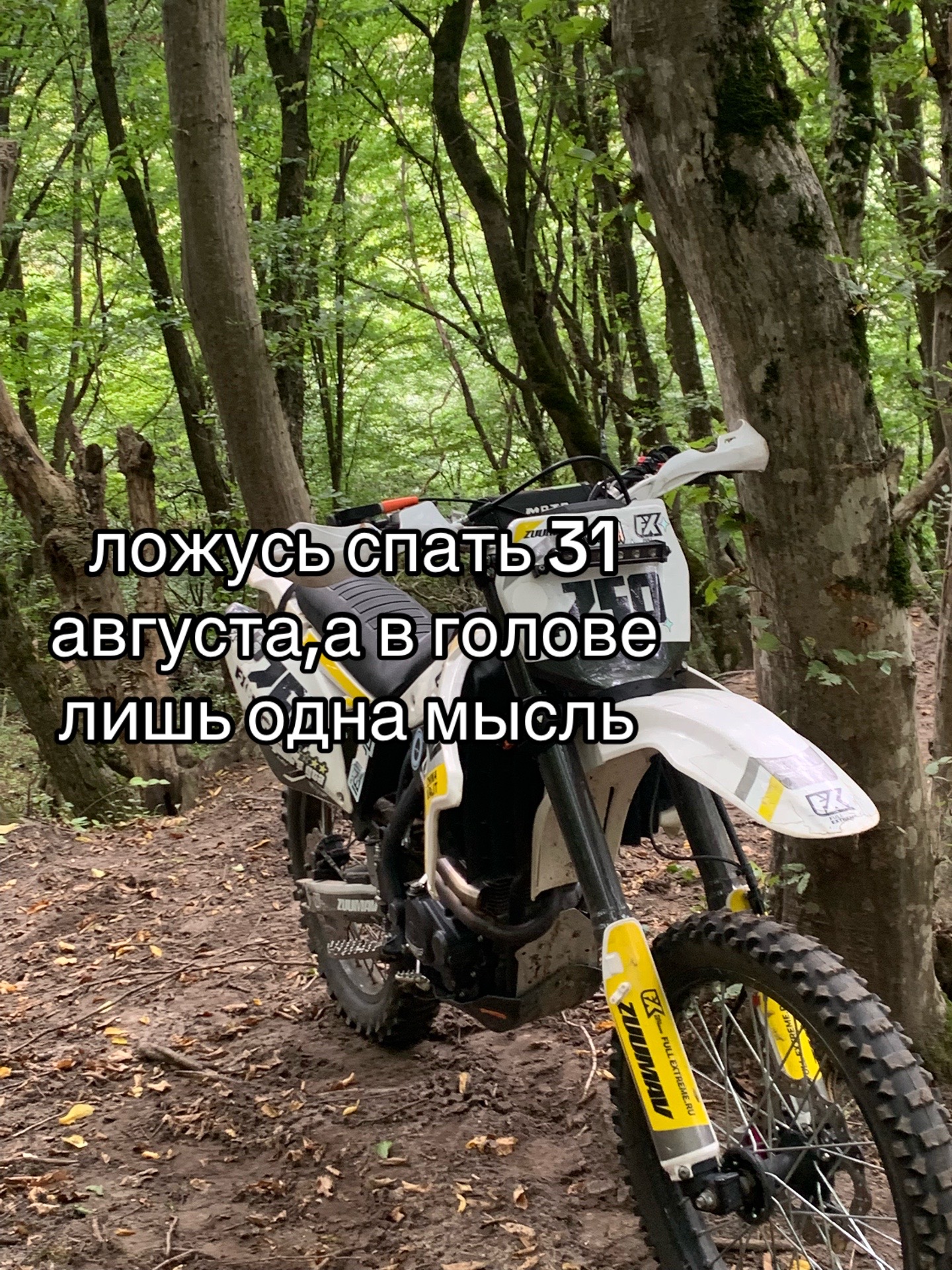 @gridin444