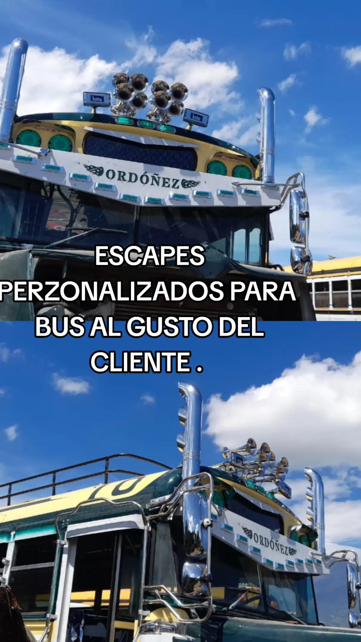 @Buses y Accesorios DG