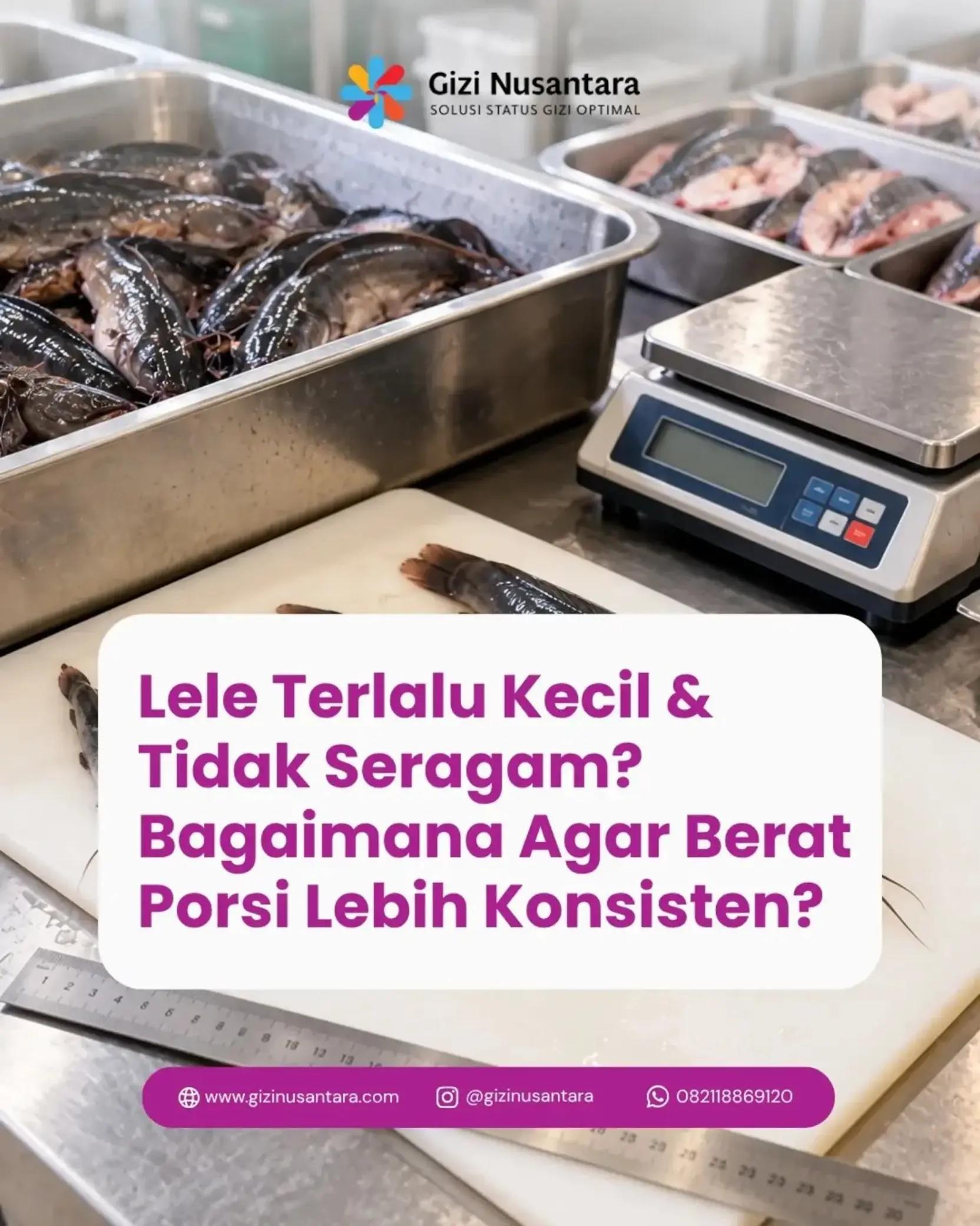 @Gizi Nusantara Official