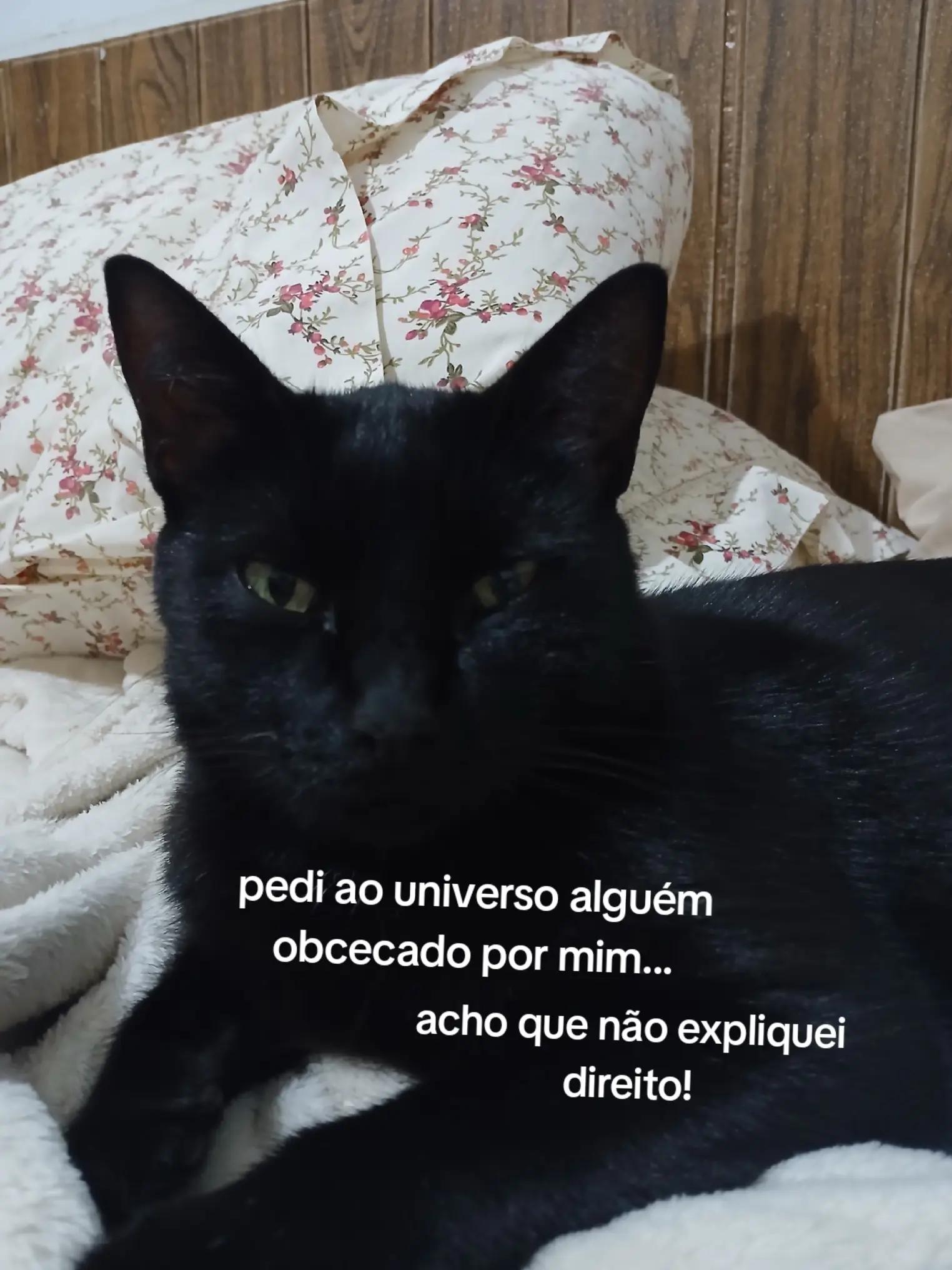 @Flavia Catalano