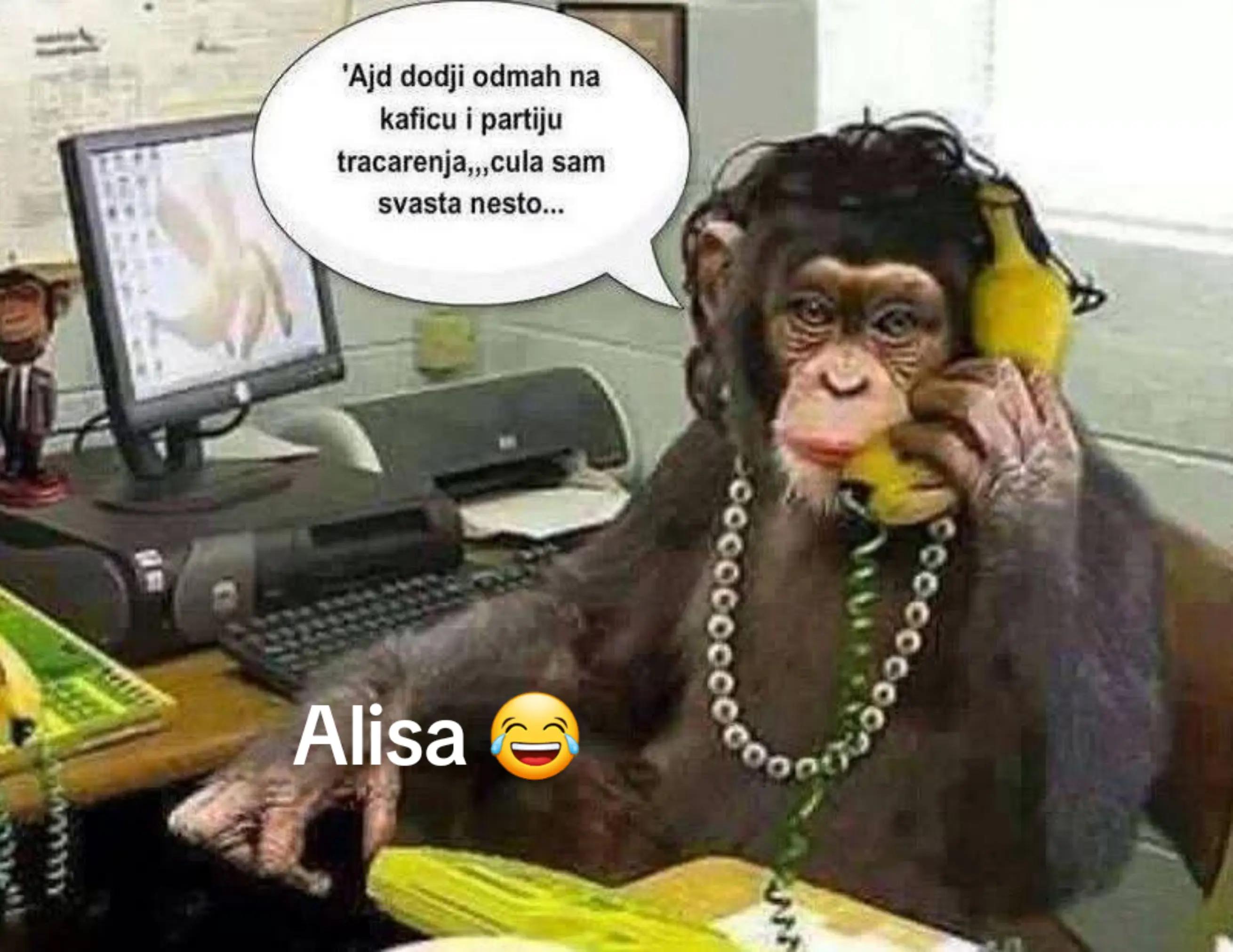 @alisa