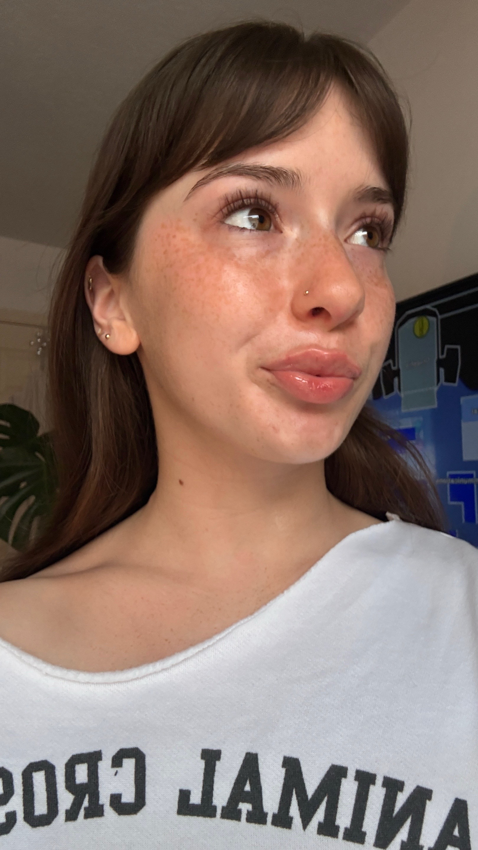 @fi ₍ᐢᐢ₎ ݁˖
