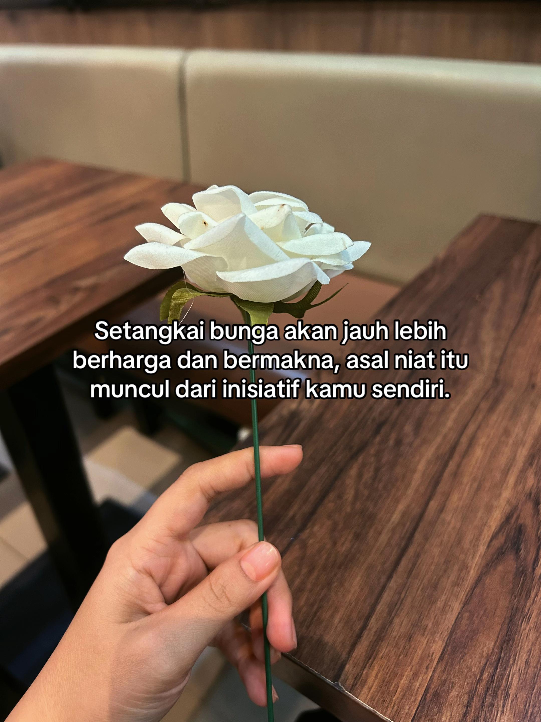 @Egaa