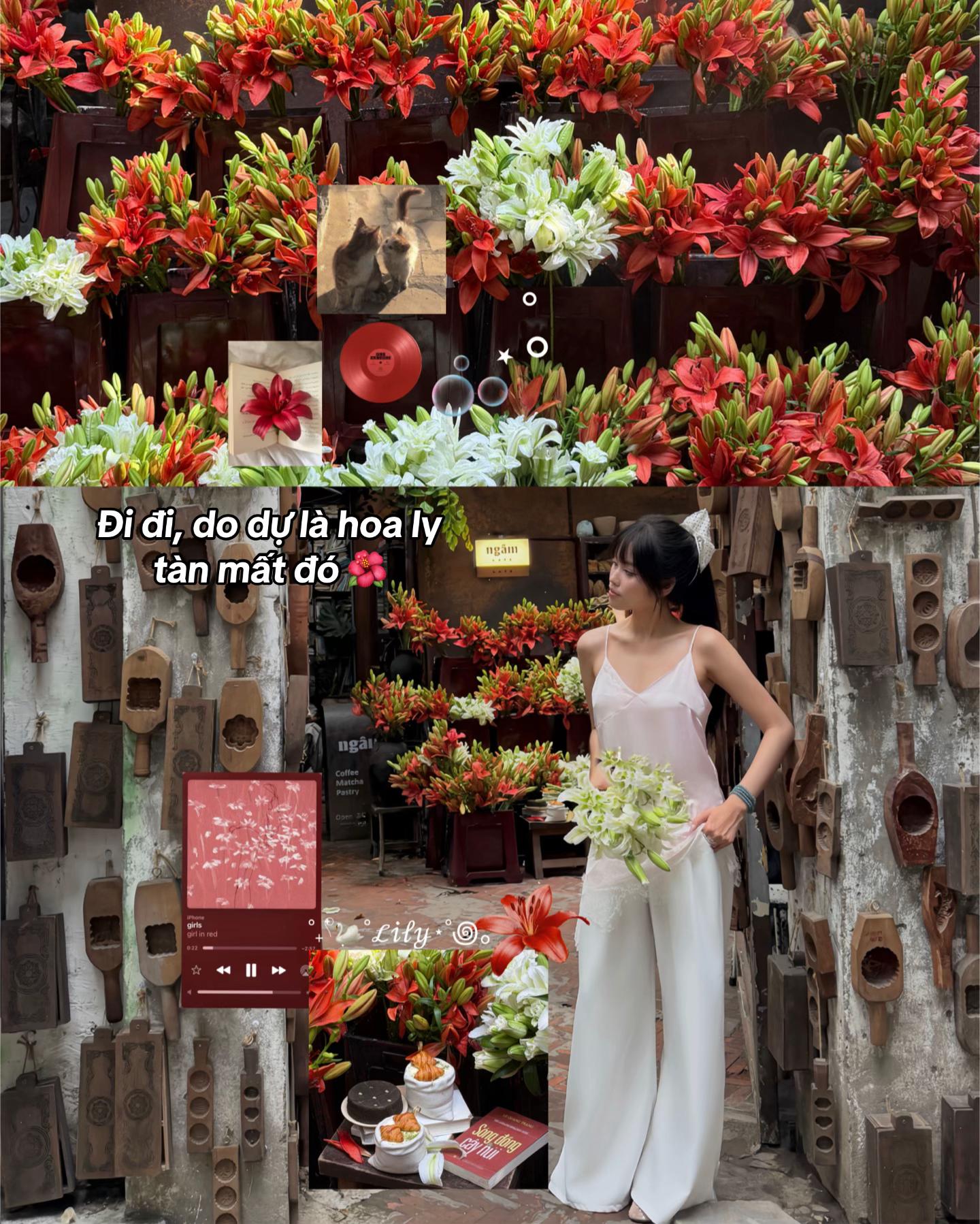 @&Uacute;t Cưng Đi Đ&acirc;u