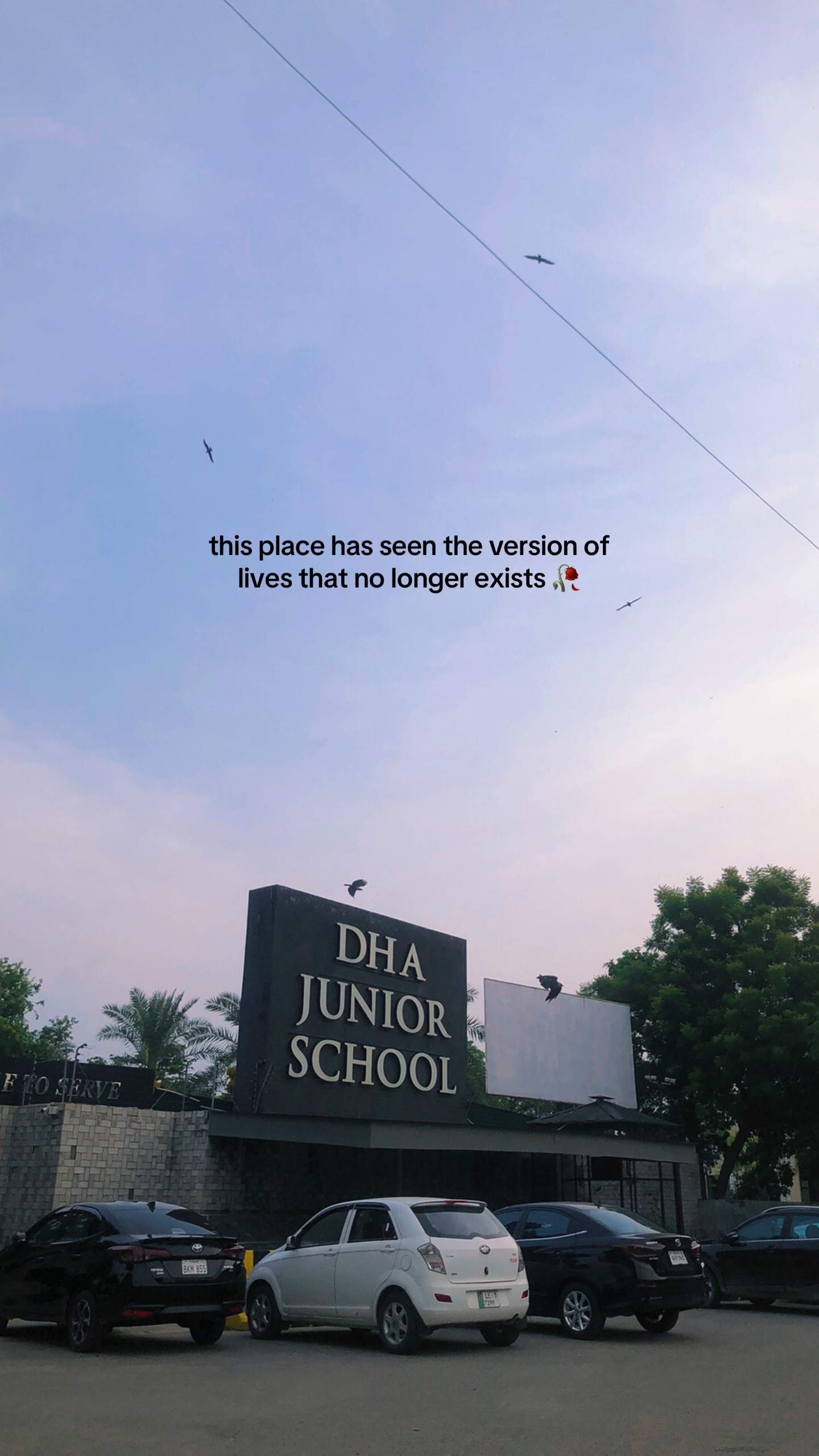 @🌙