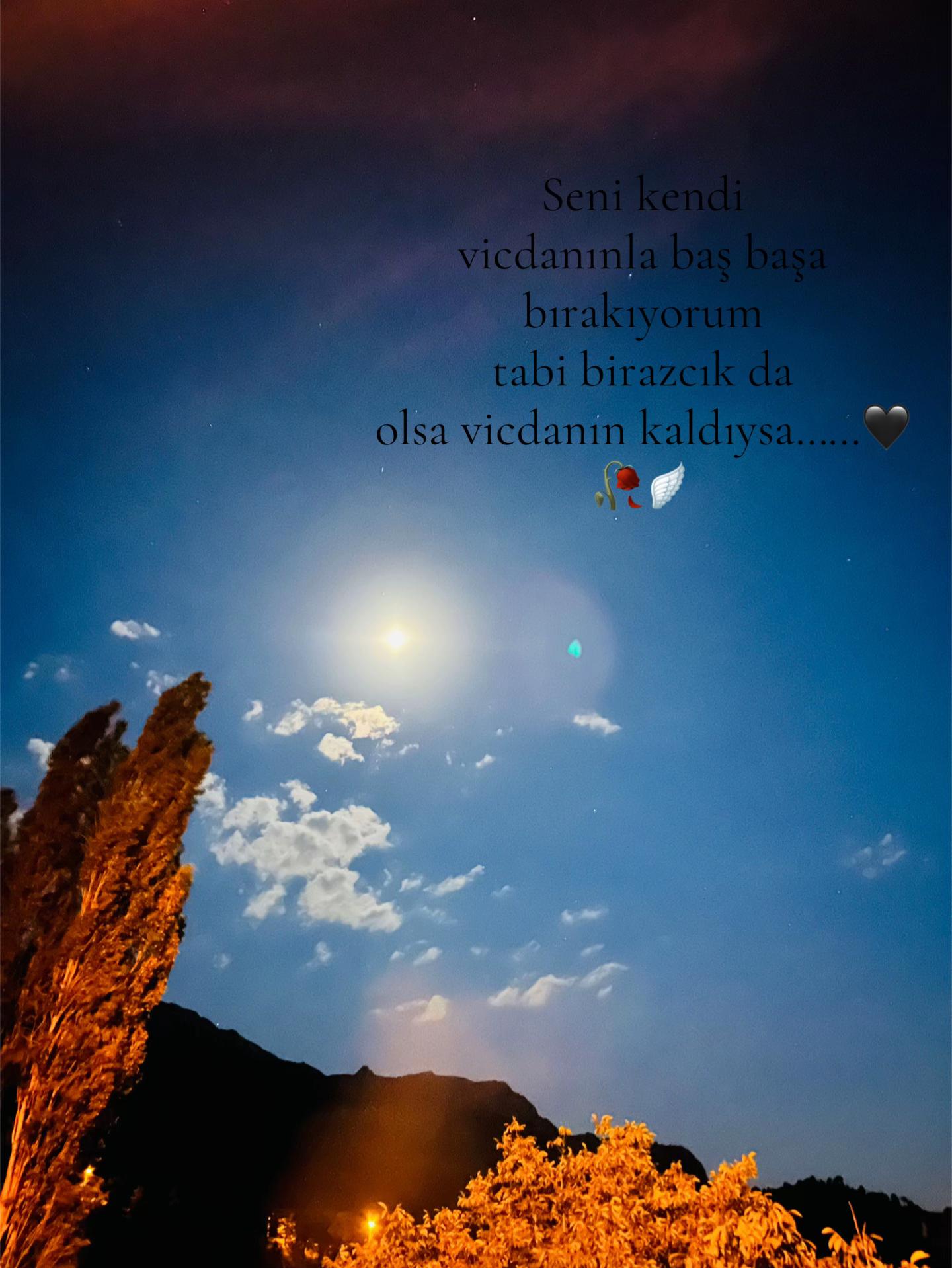 @❤️🩹buzlar kraliçesi.35❤️🩹
