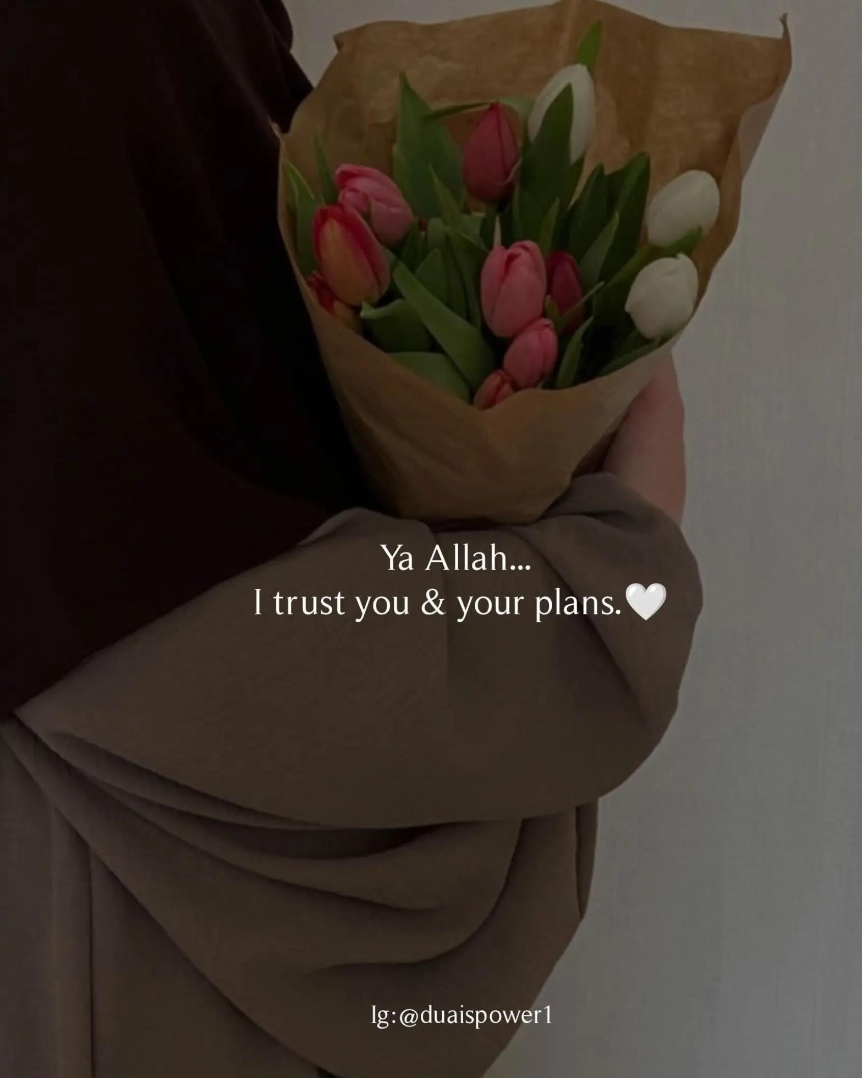 @Noor Asmeera