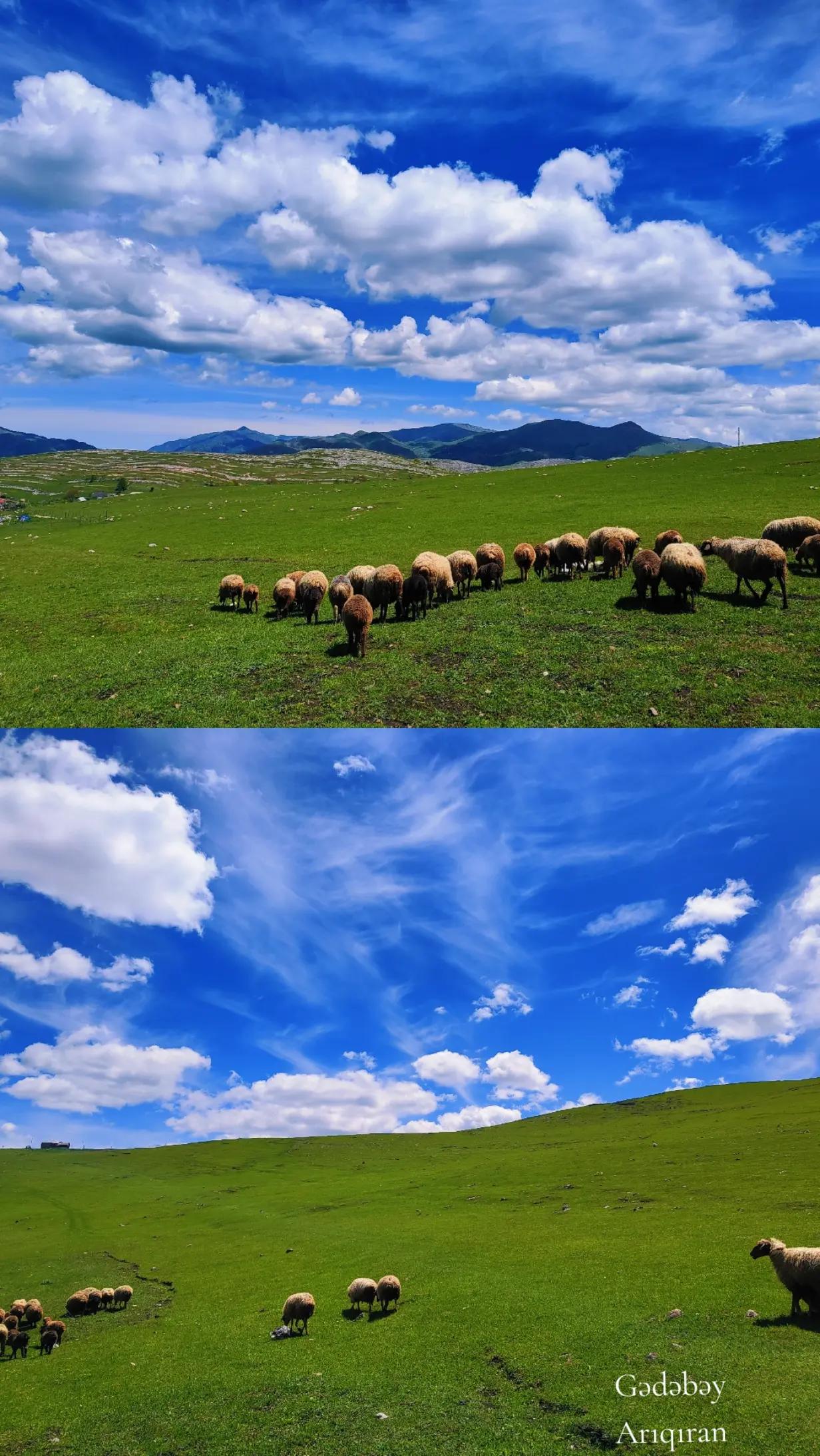 @Anar_Əliyev