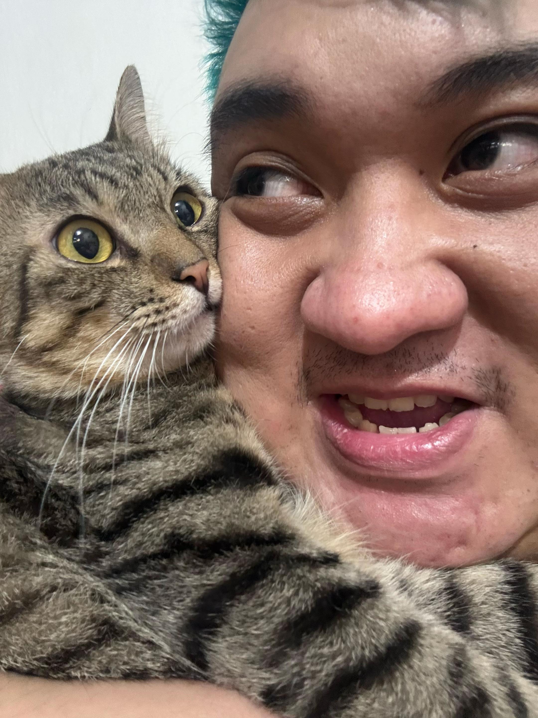 @TheCatFather