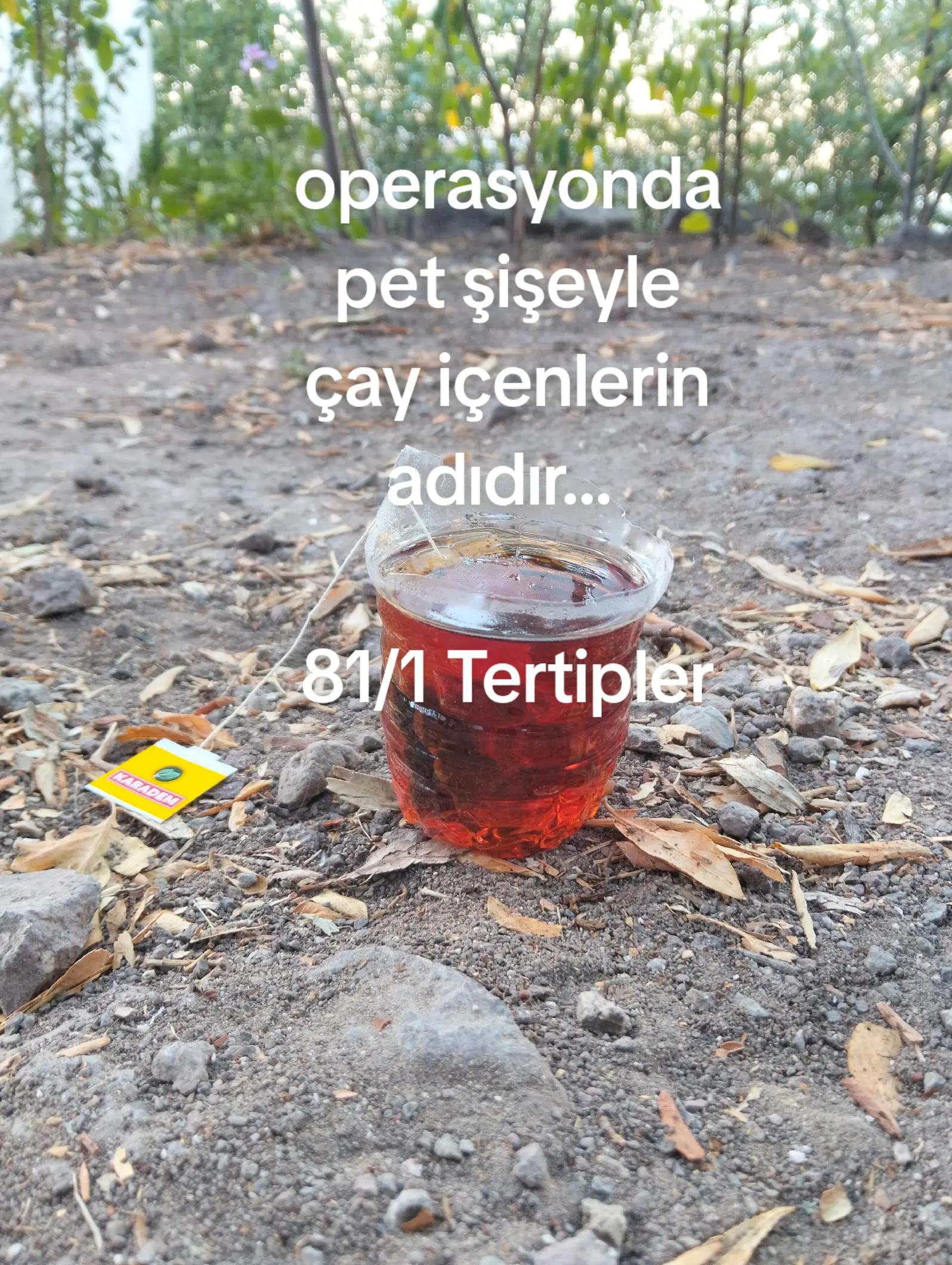 @Ferhat Ayg&uuml;n