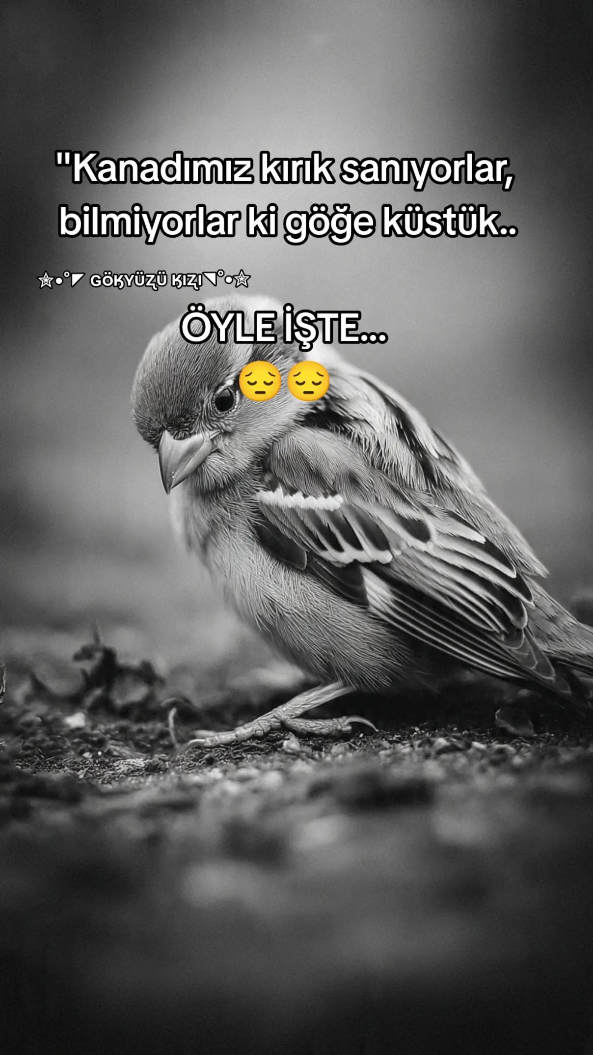 @༺✮&bull;&deg;◤ɢ&ouml;ӄʏ&uuml;ʐ&uuml; ӄıʐı ◥&deg;&bull;✮༻