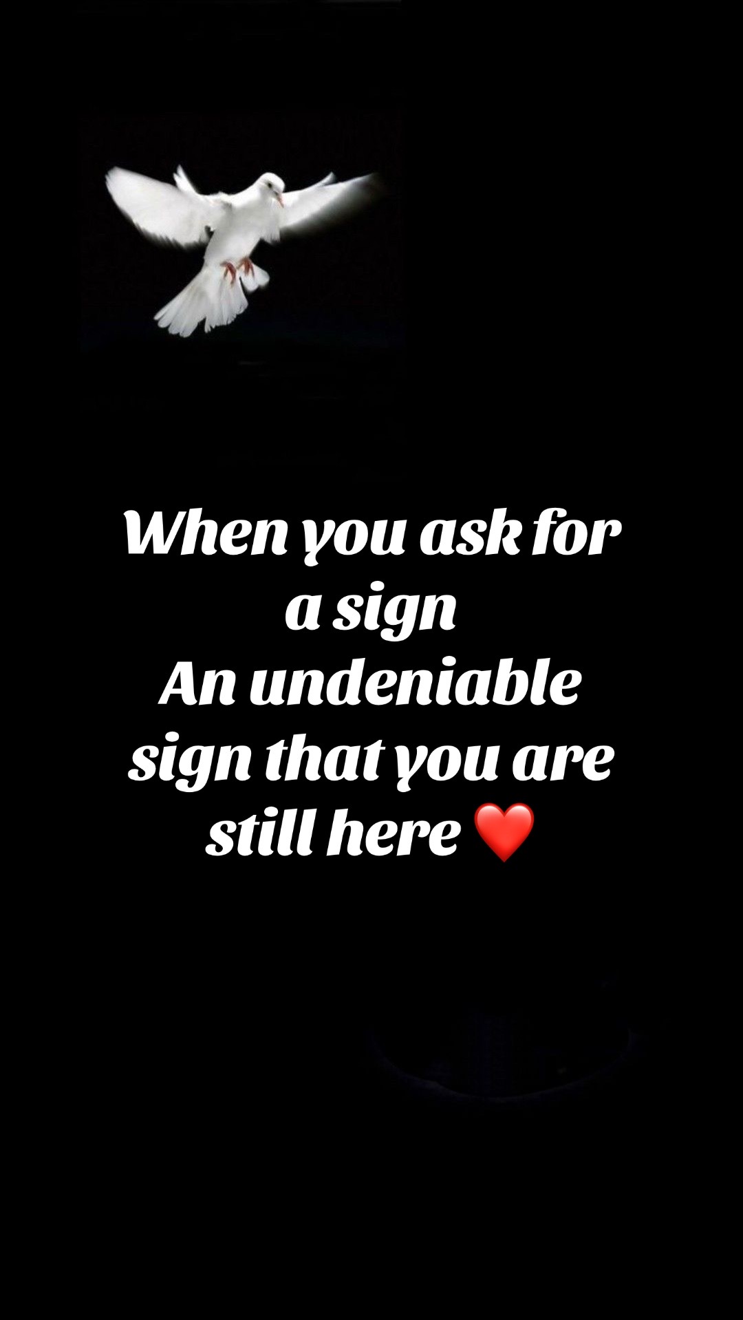 @In&ensp;memory&ensp;of&ensp;Rafa&ensp;Gonzalez