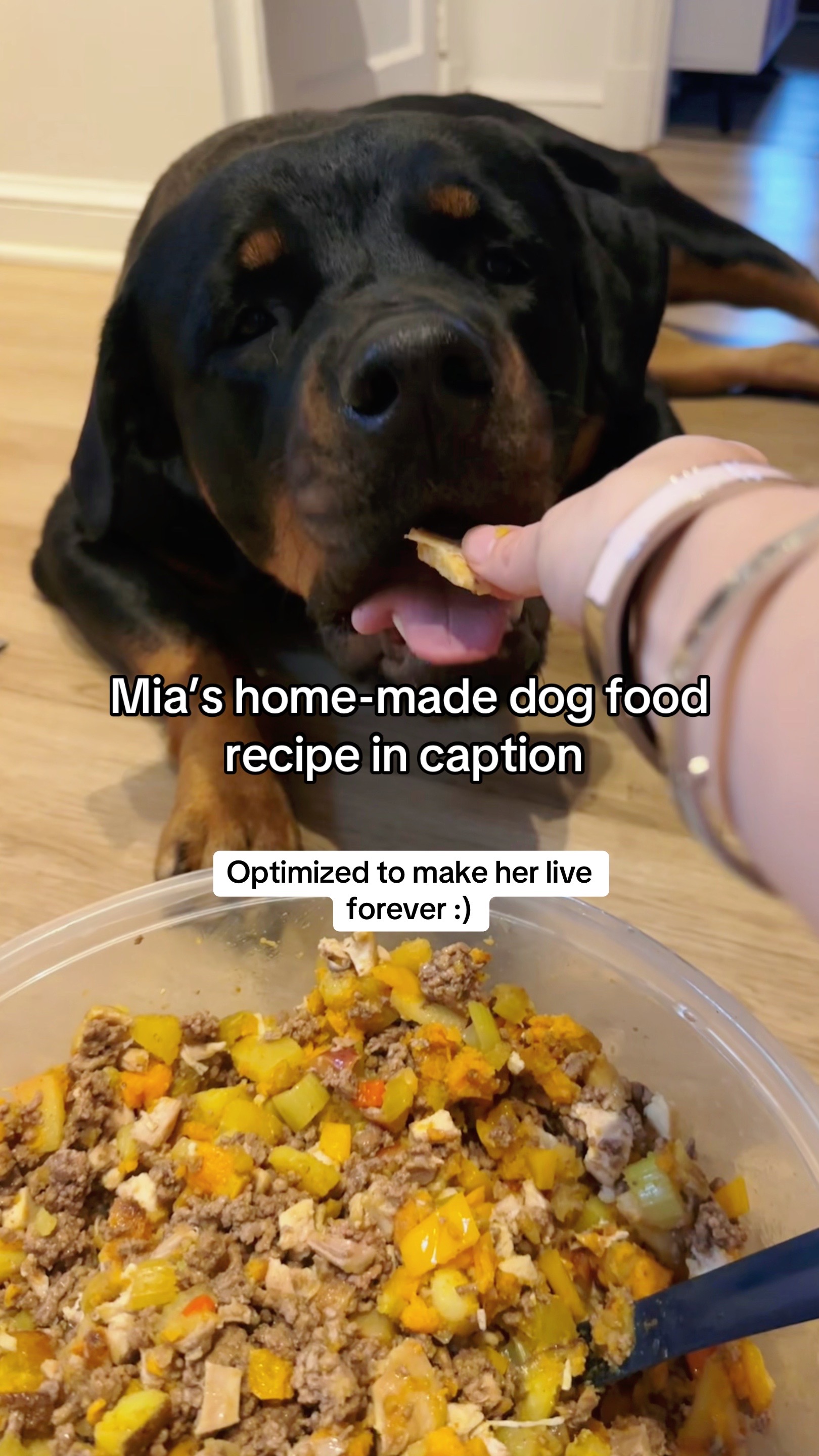 @Mia the Rottie