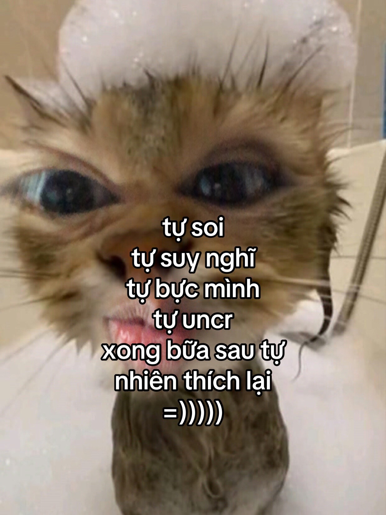 @ywwwwwwn