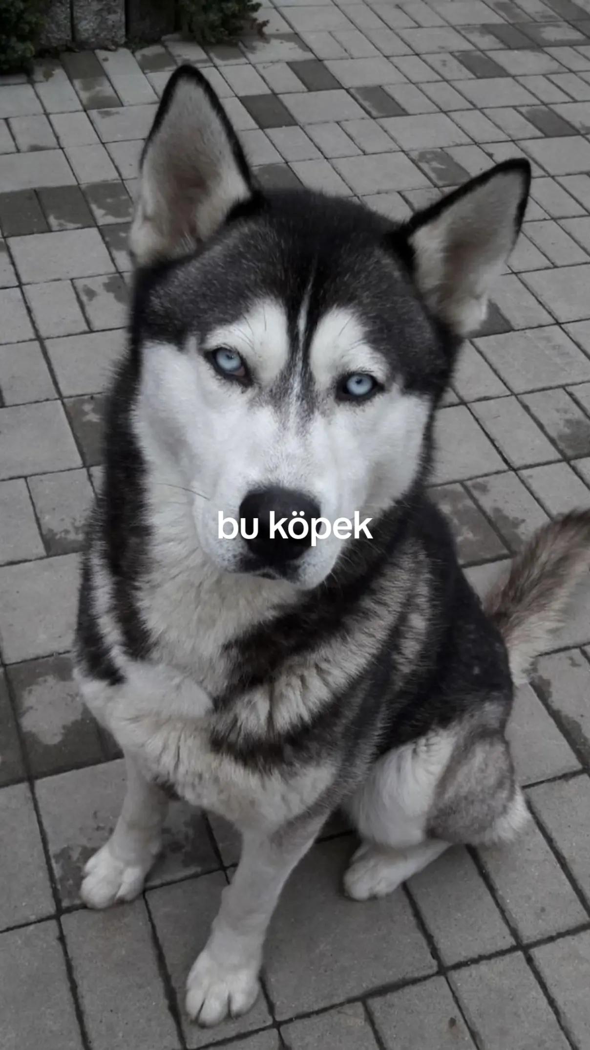 @𖦹。🦀⭑𝓔𝓭𝓪𝓪𝓪₊˚ 🦢