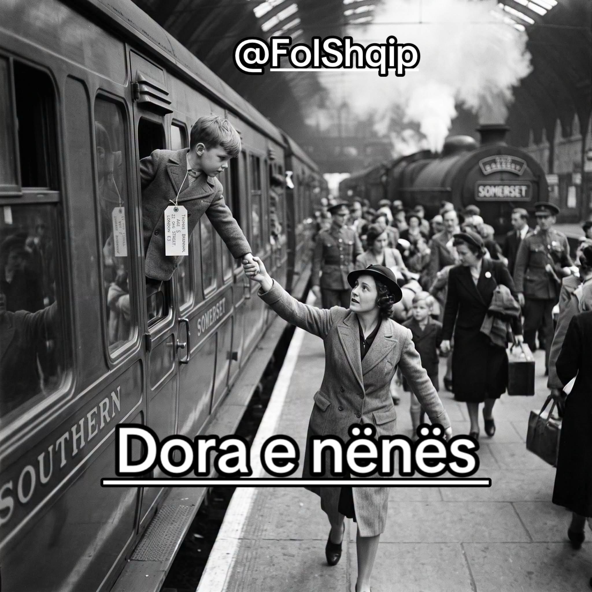 @Folshqip🇦🇱