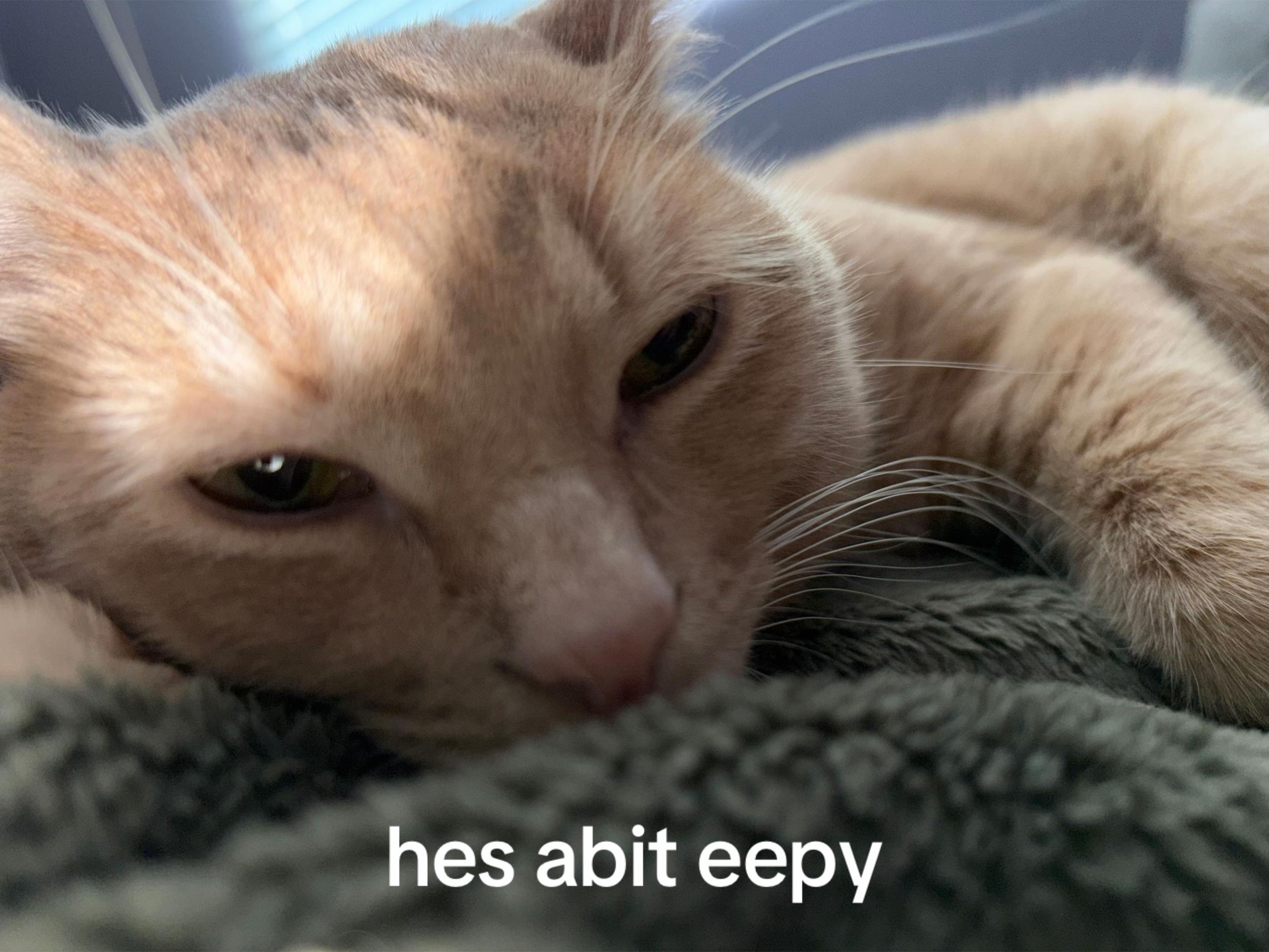 @glitch