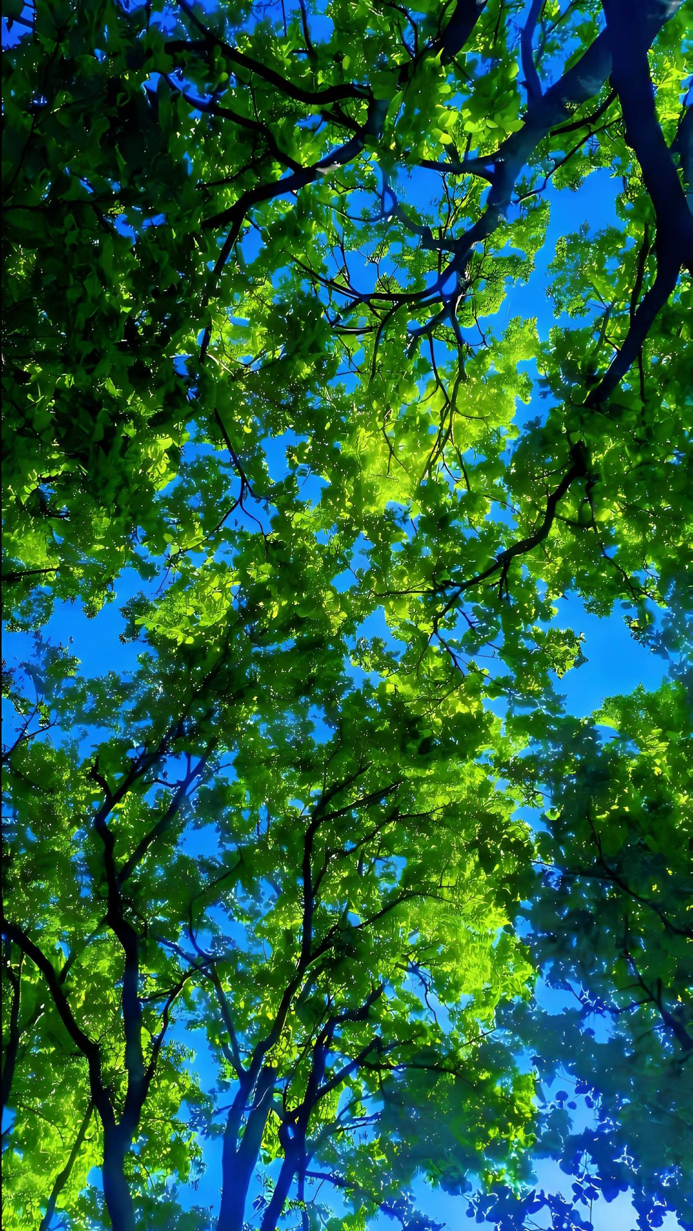 @𝕄💭