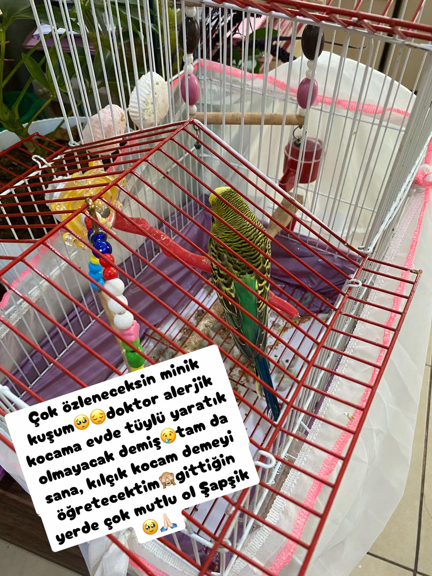 @Şapkalı Kadın