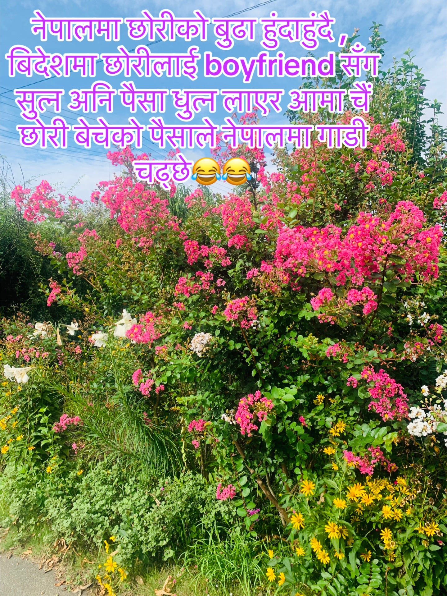 @Pabitragiri🇳🇵🇯🇵